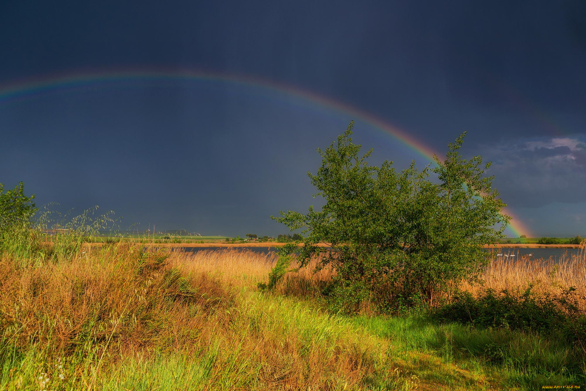 природа, радуга, простор