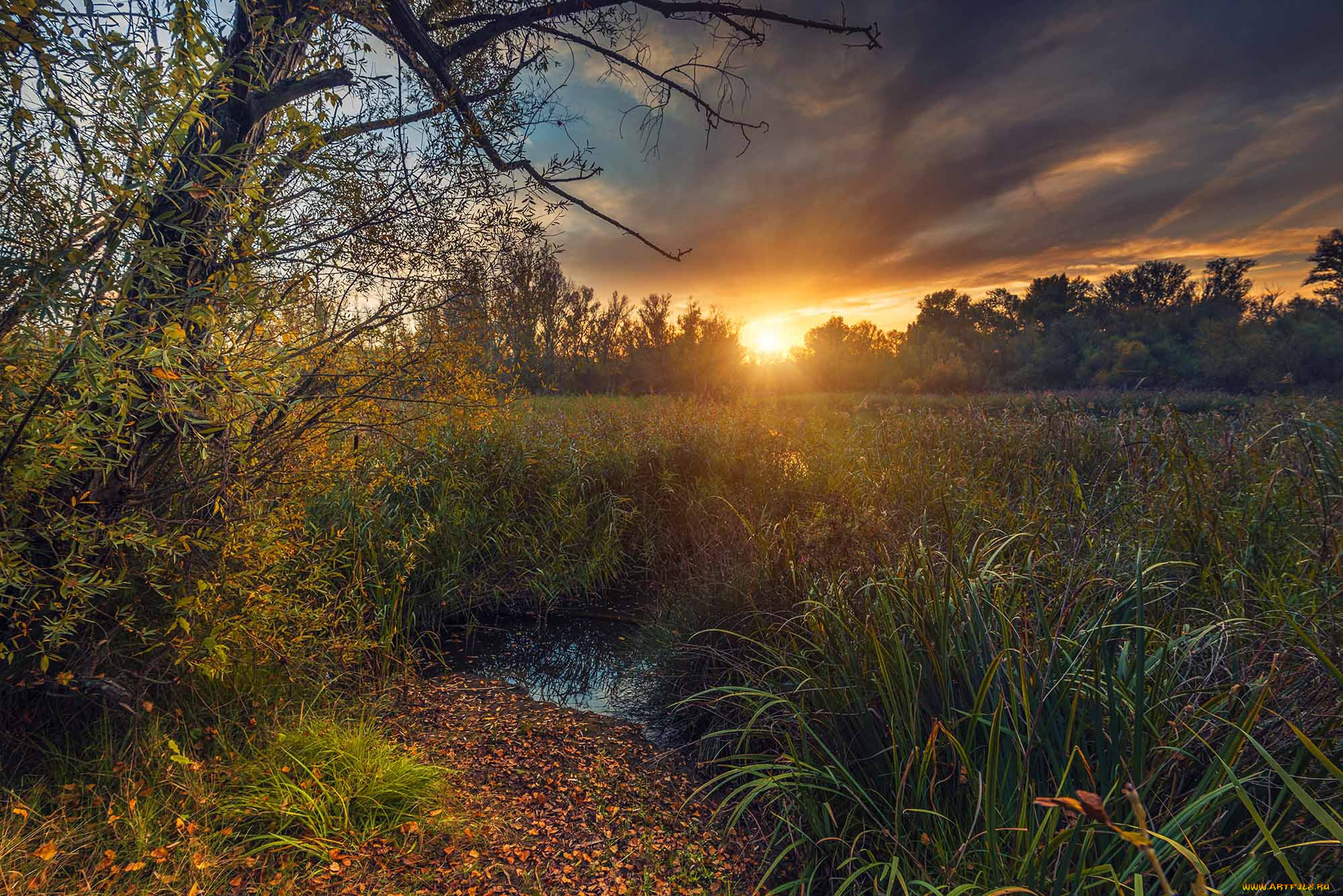 природа, восходы, закаты, простор