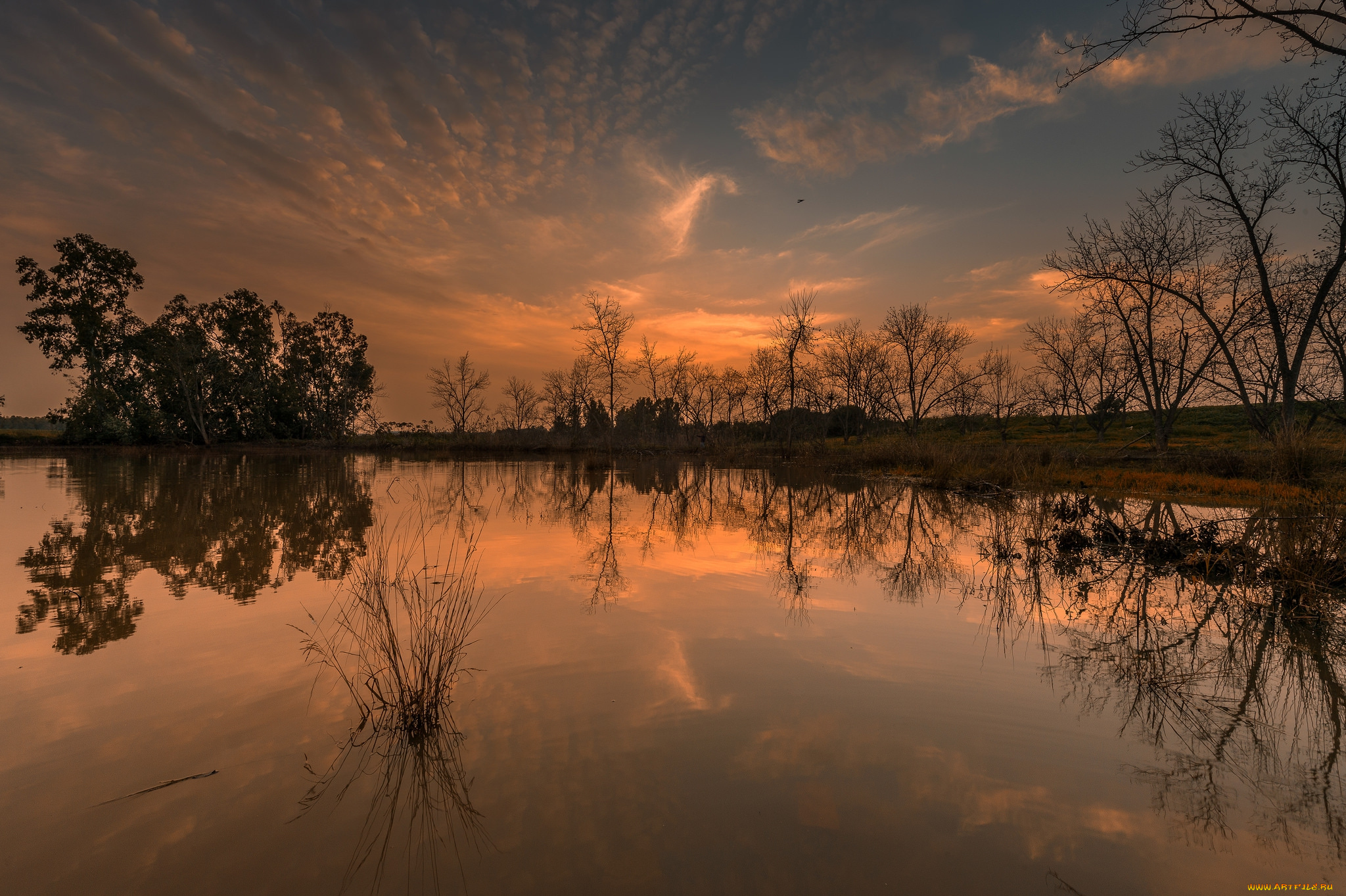 природа, реки, озера, простор