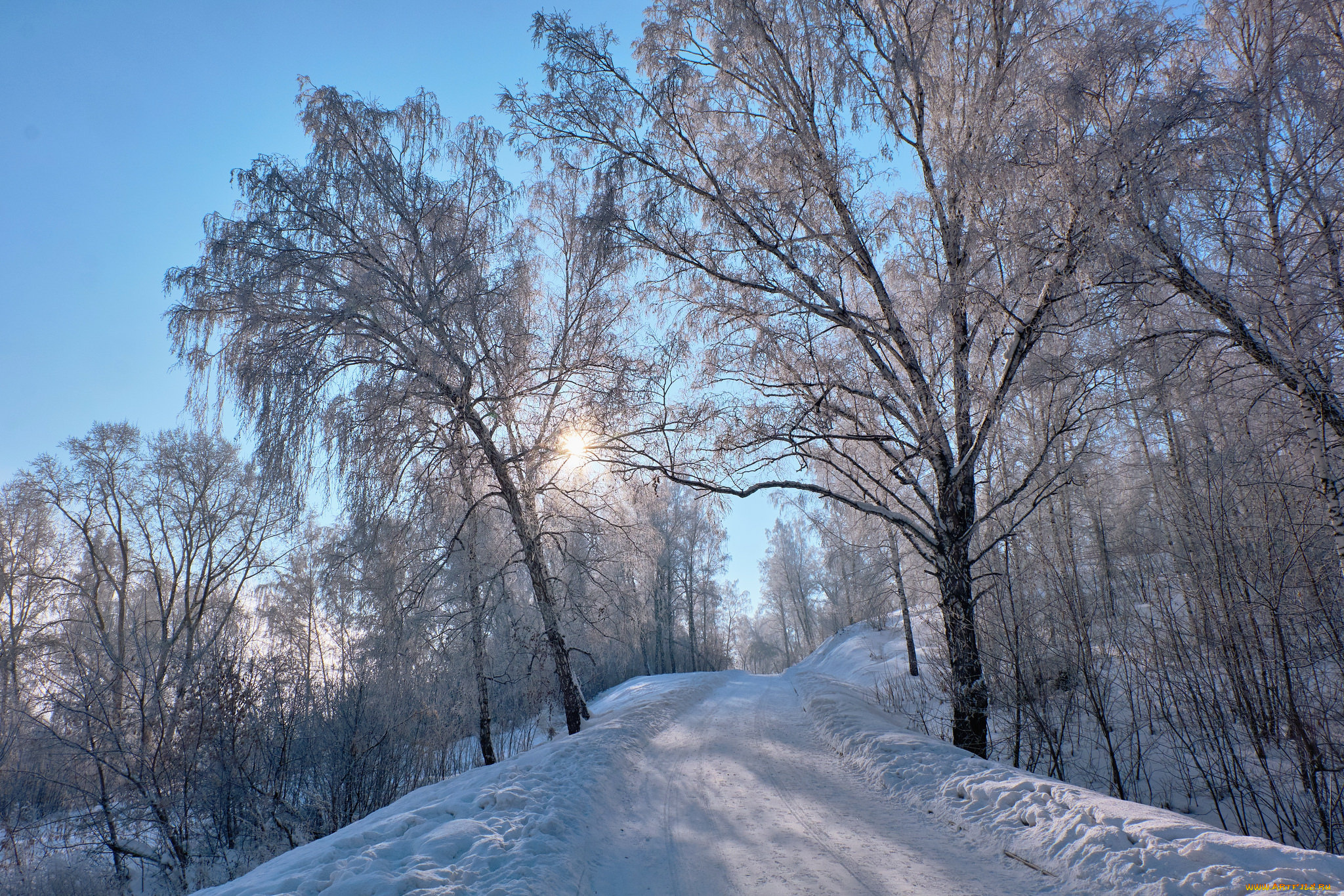 природа, зима, простор