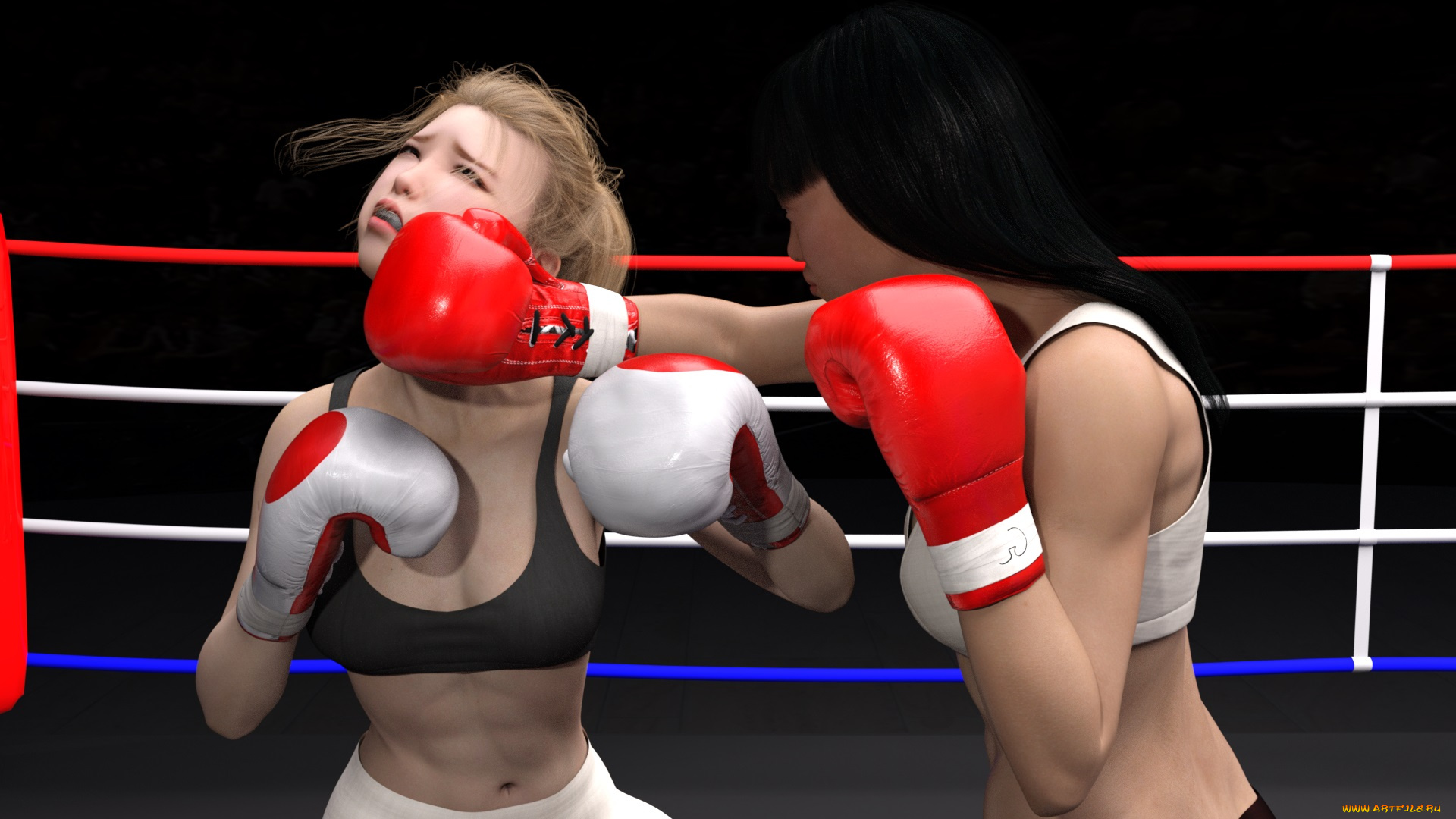 3д, графика, спорт, , sport, фон, девушки, взгляд, ринг, бокс