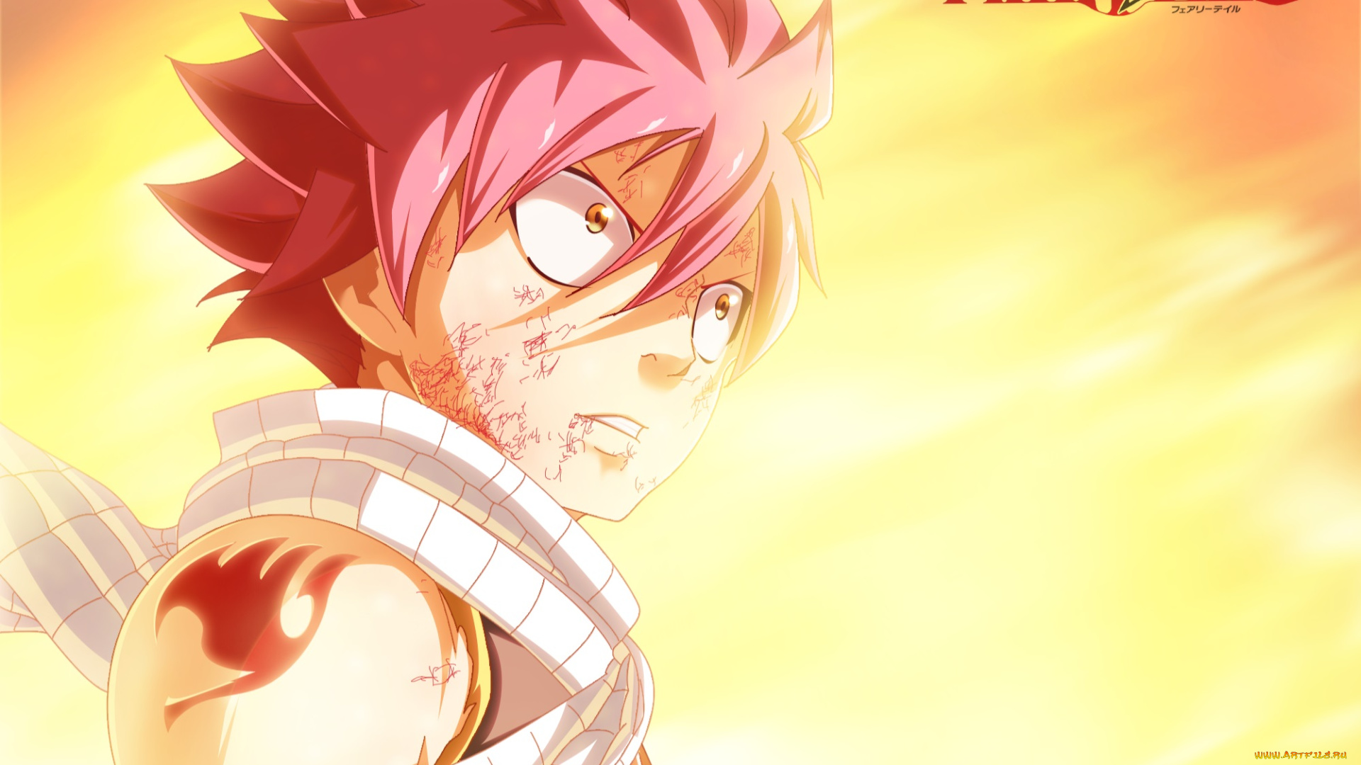 аниме, fairy, tail, fairy, tail