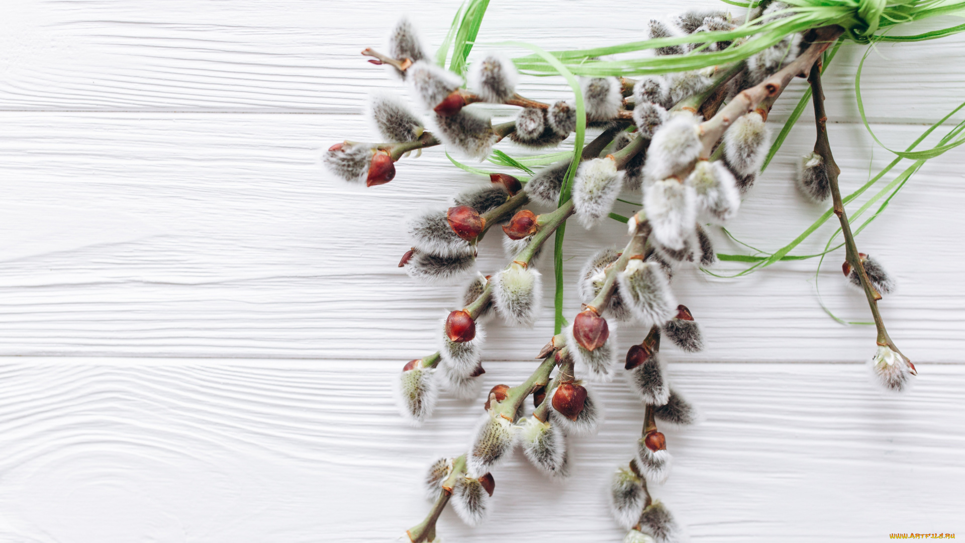 цветы, букеты, , композиции, верба