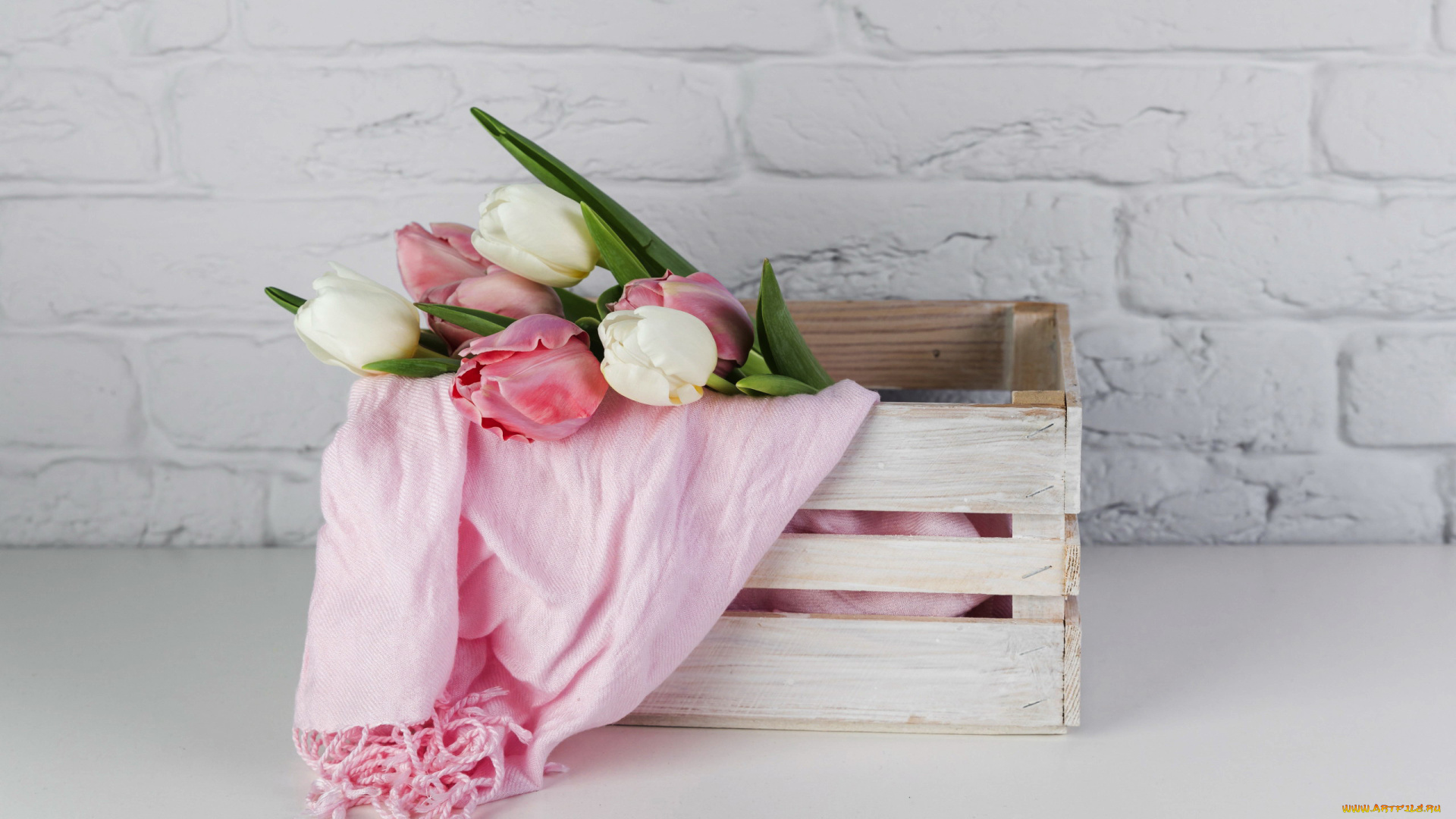 цветы, тюльпаны, бутоны