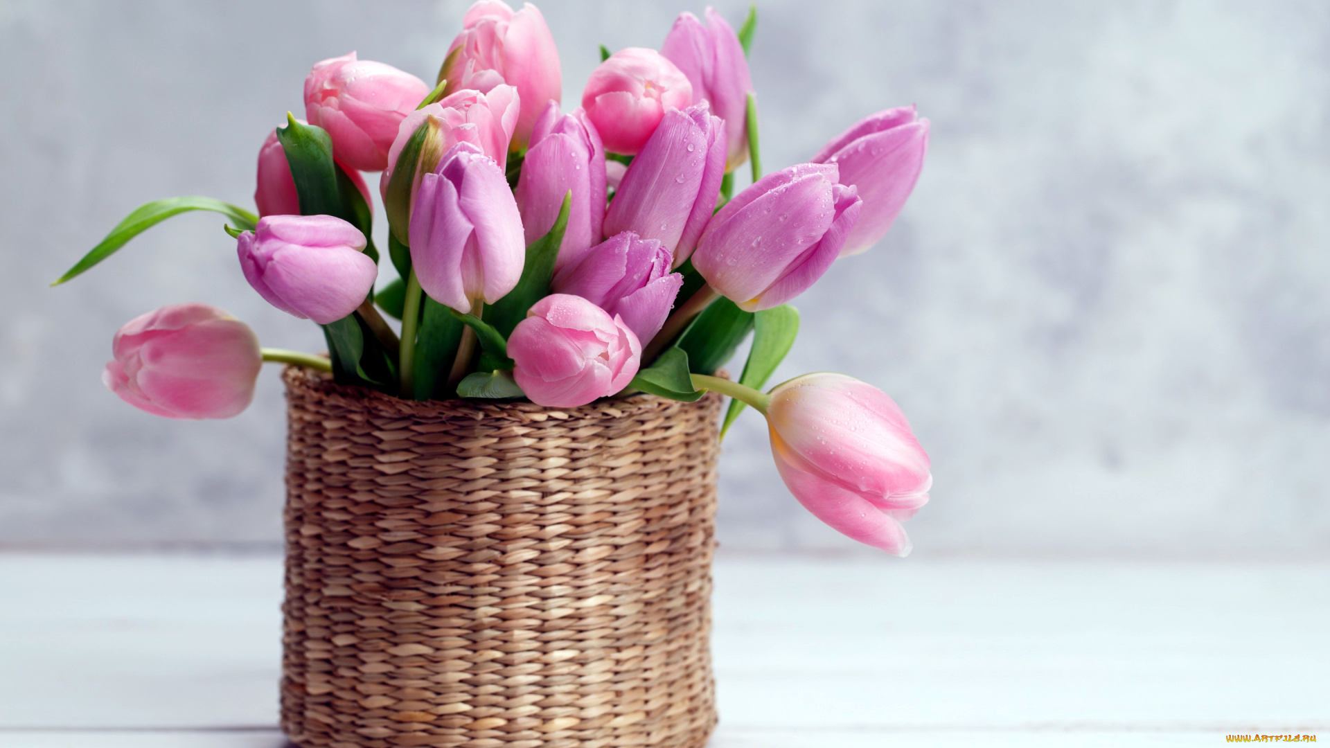 цветы, тюльпаны, бутоны, ваза