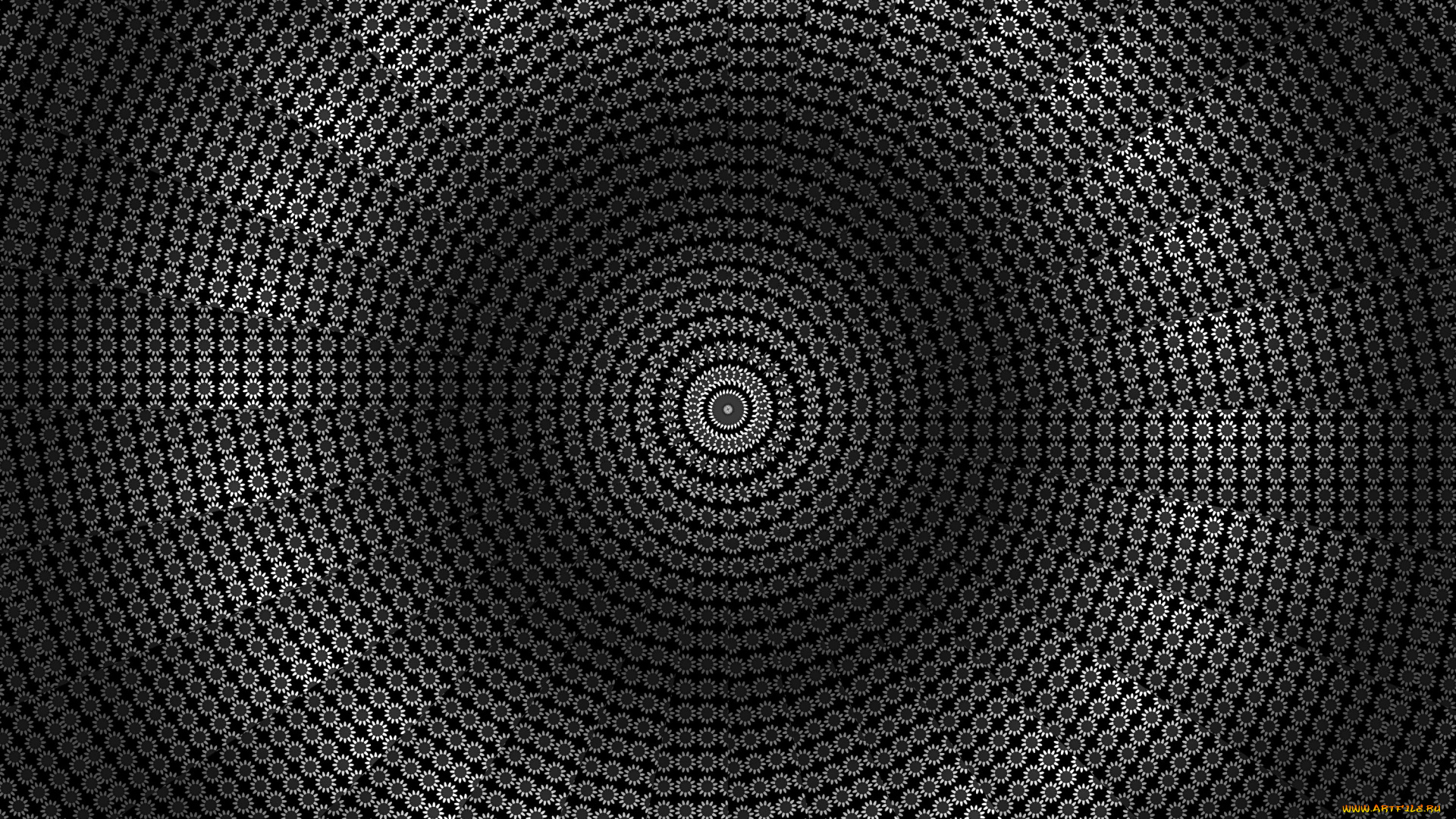 векторная, графика, -графика, , graphics, цвет, фон, узор