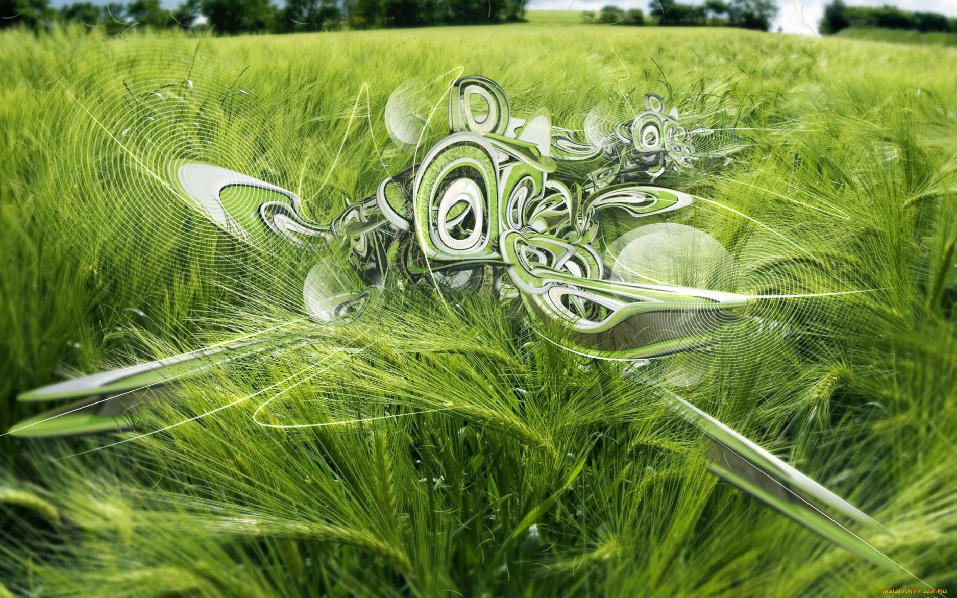 разное, компьютерный, дизайн, поле, колосья, паутины, объекты
