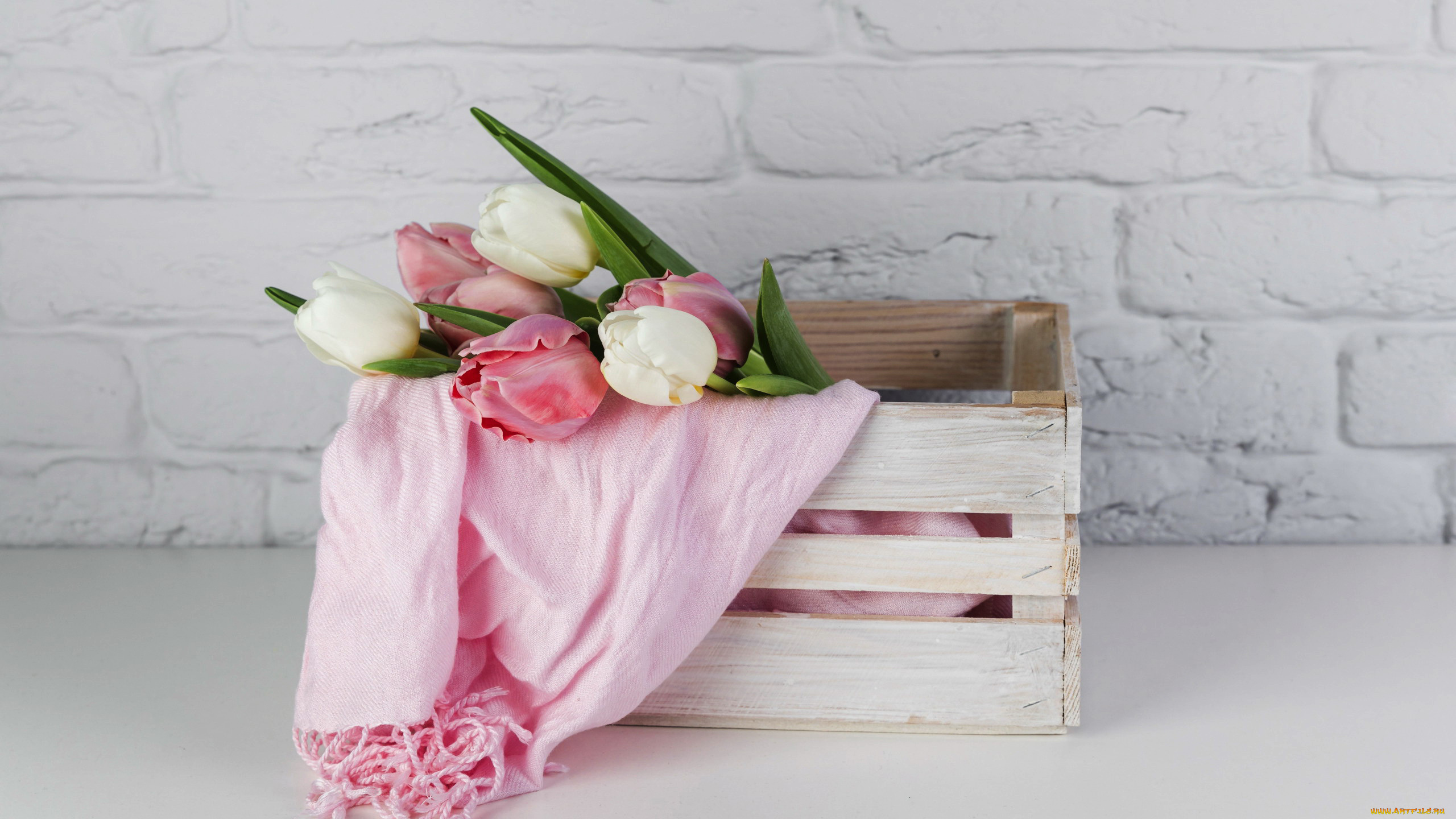 цветы, тюльпаны, бутоны