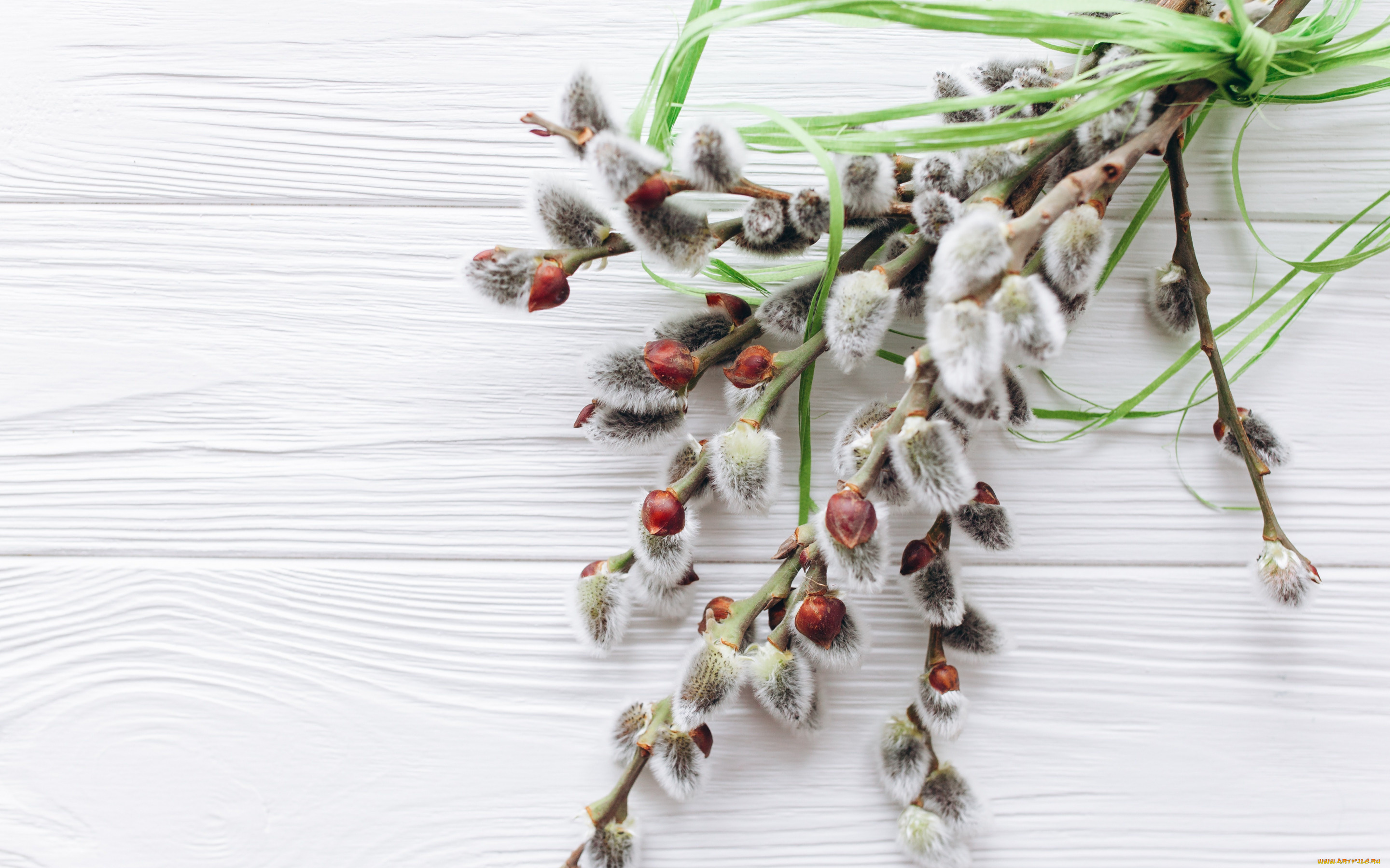 цветы, букеты, , композиции, верба