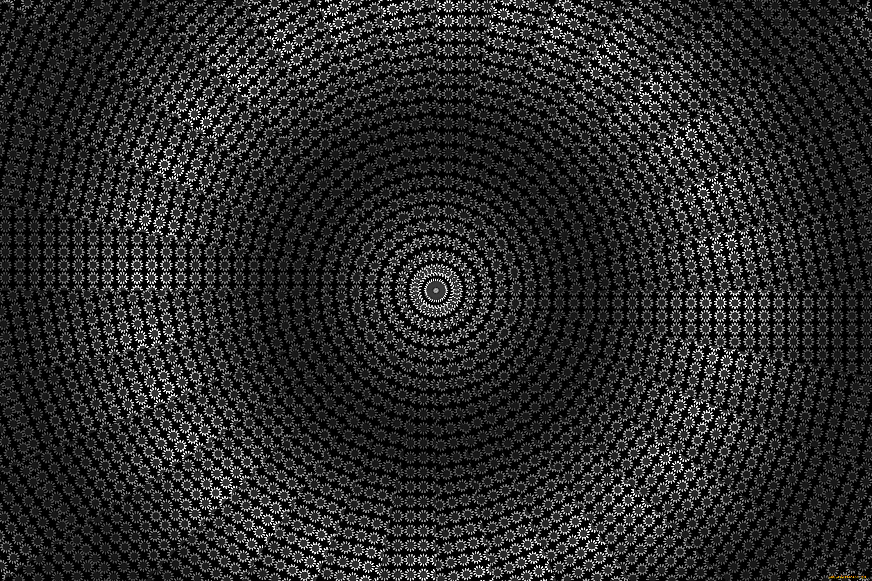 векторная, графика, -графика, , graphics, цвет, фон, узор