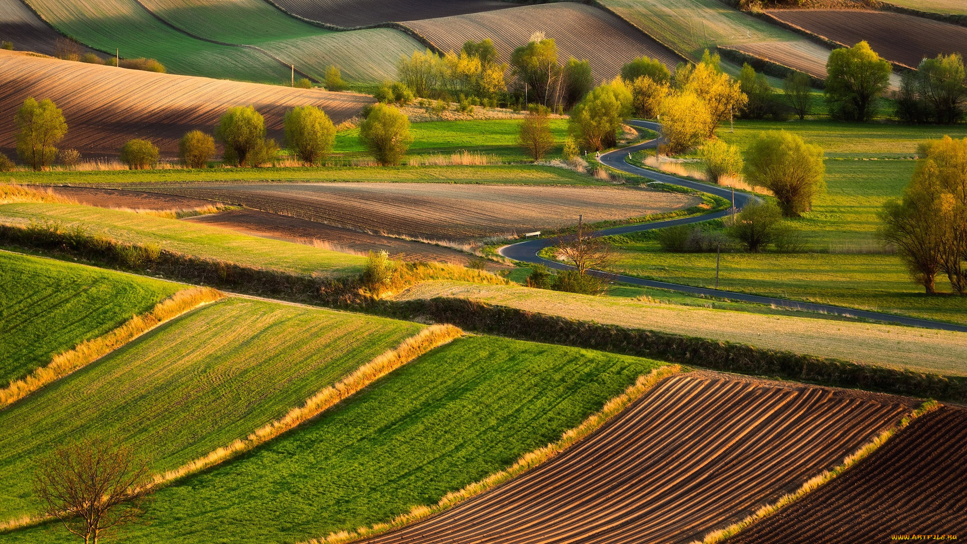 природа, поля, шоссе, серпантин