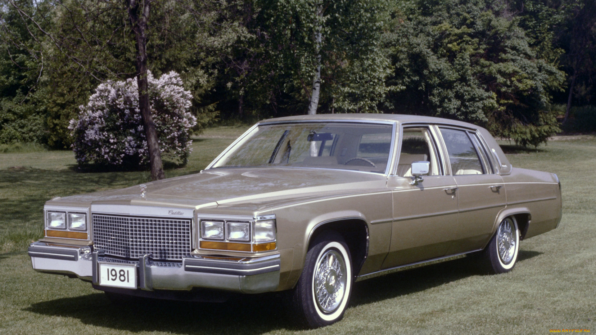 автомобили, cadillac