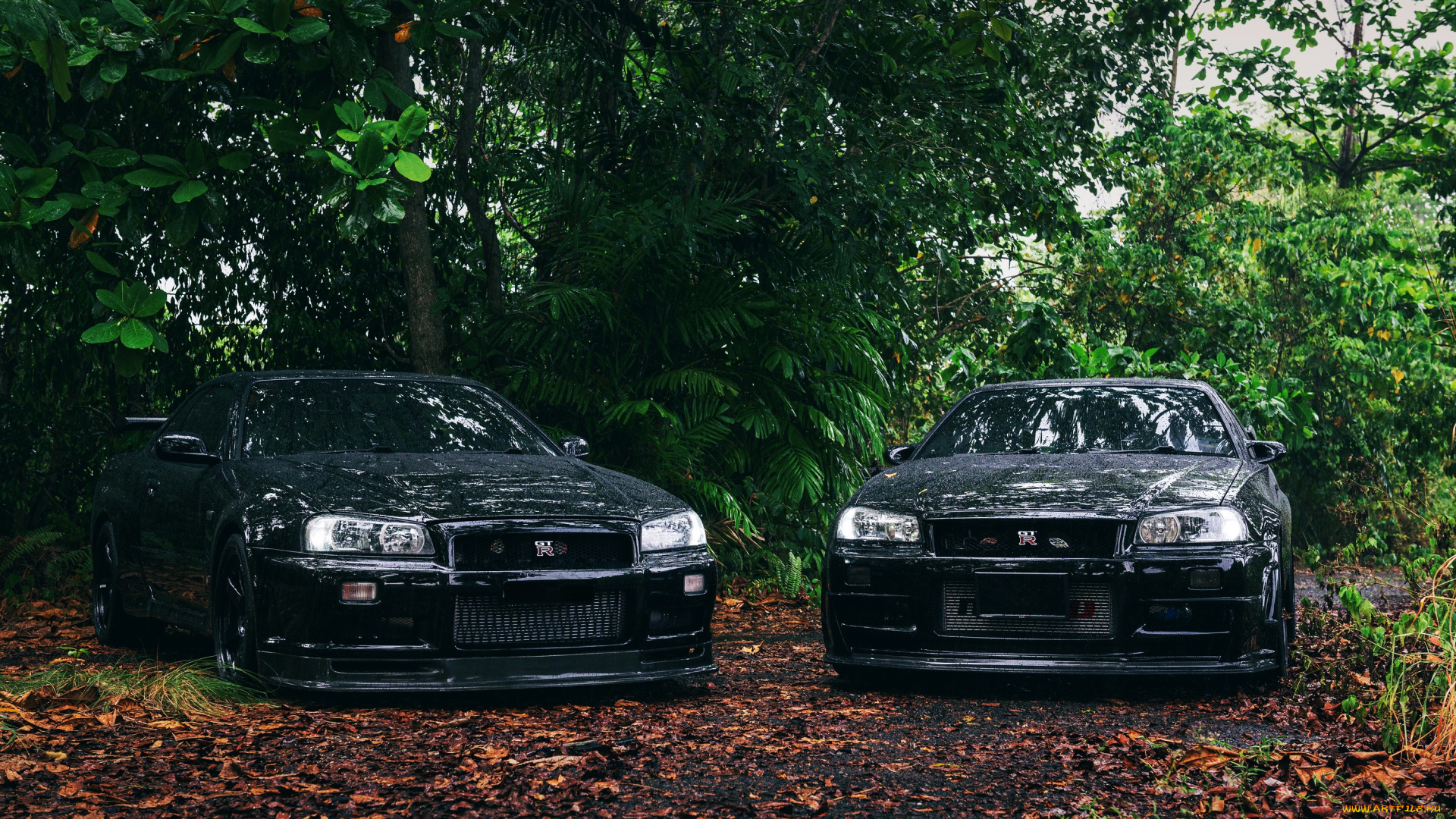 автомобили, nissan, datsun, black, skyline, r34, trees, nismo