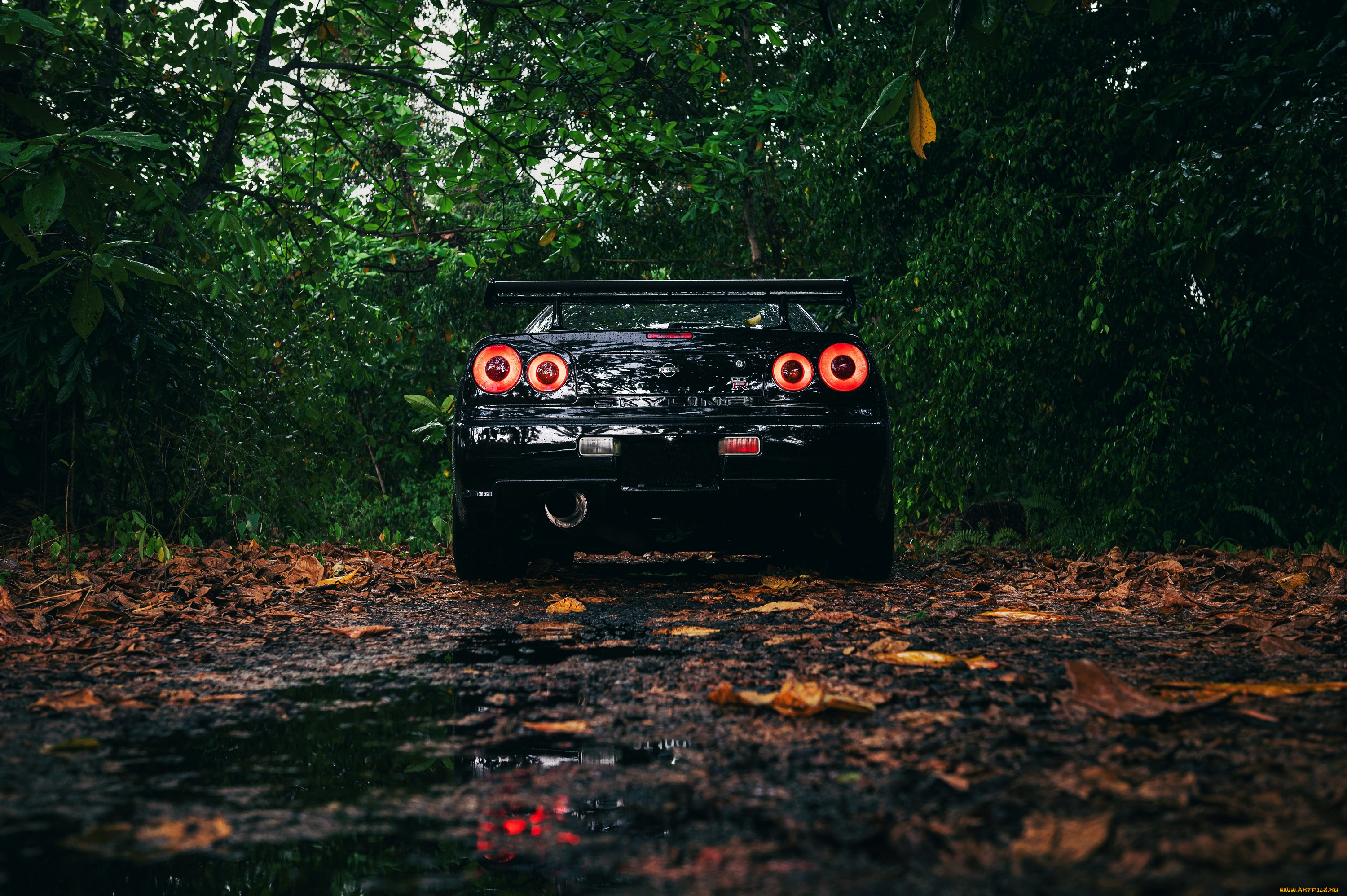 автомобили, nissan, datsun, black, skyline, r34, spoiler, trees, leaves