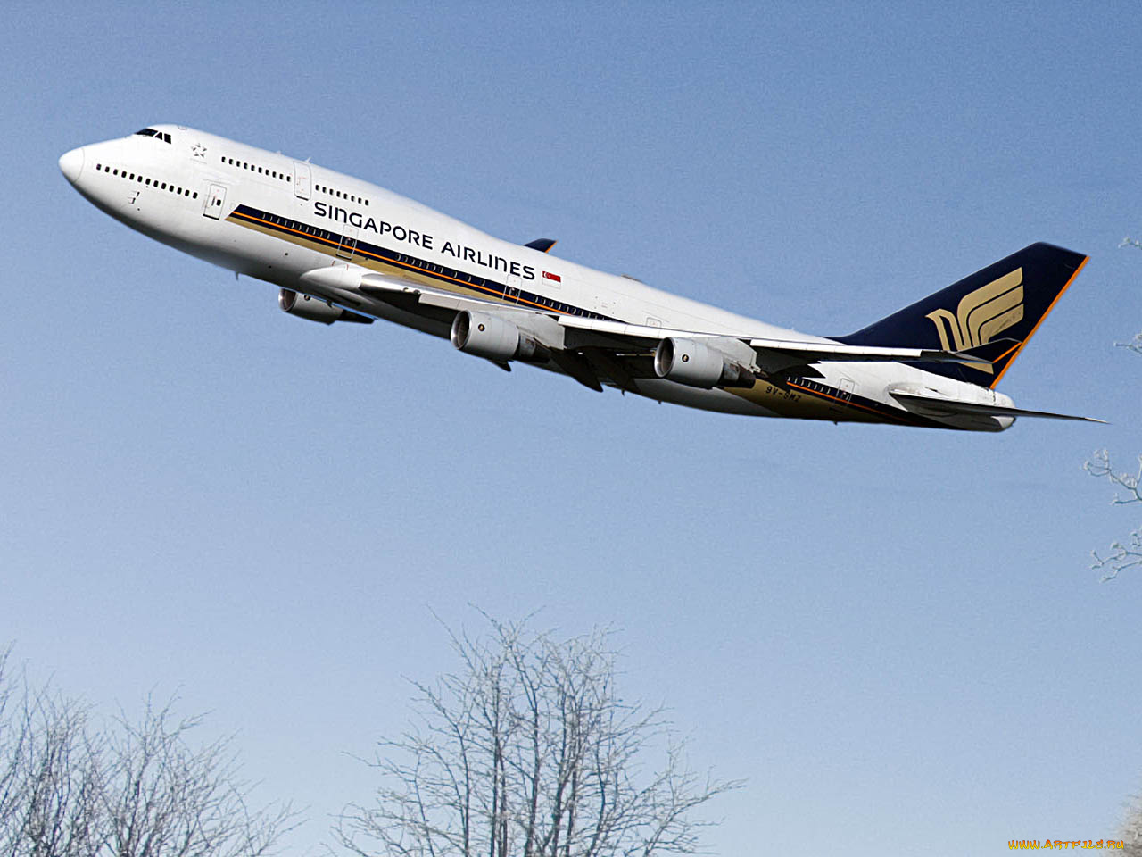 авиация, пассажирские, самолёты