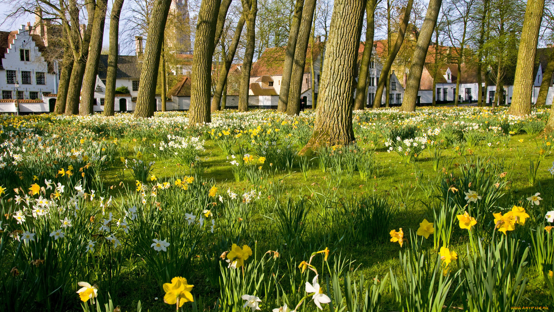 bruges, belgium, города, брюгге, бельгия, дома, деревья, полевые, цветы