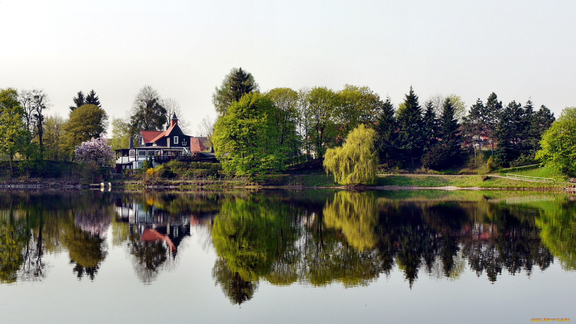 германия, херцберг, города, пейзажи, дома, река, деревья, берег, ивы
