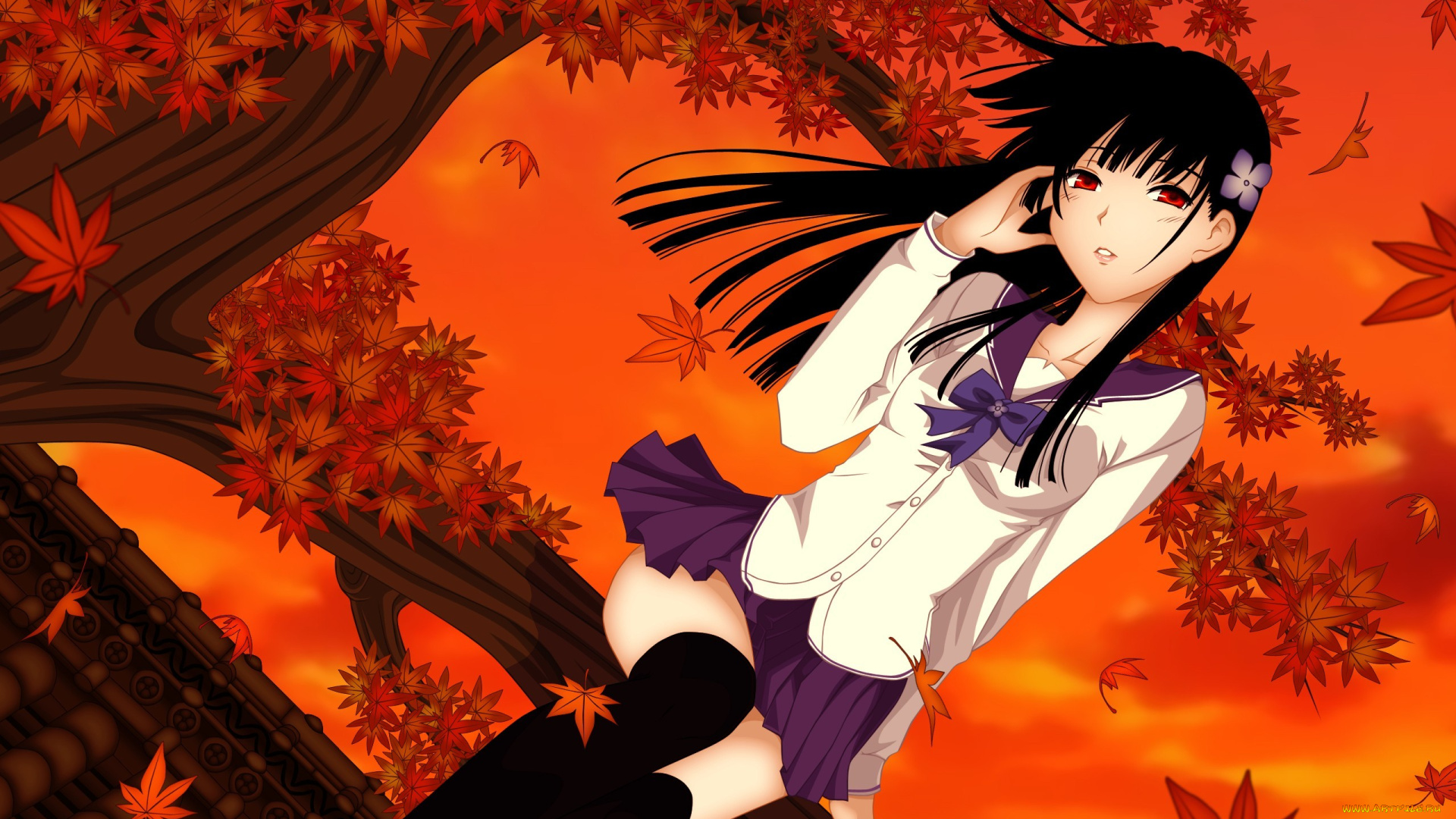 sanka, rea, аниме, sankarea