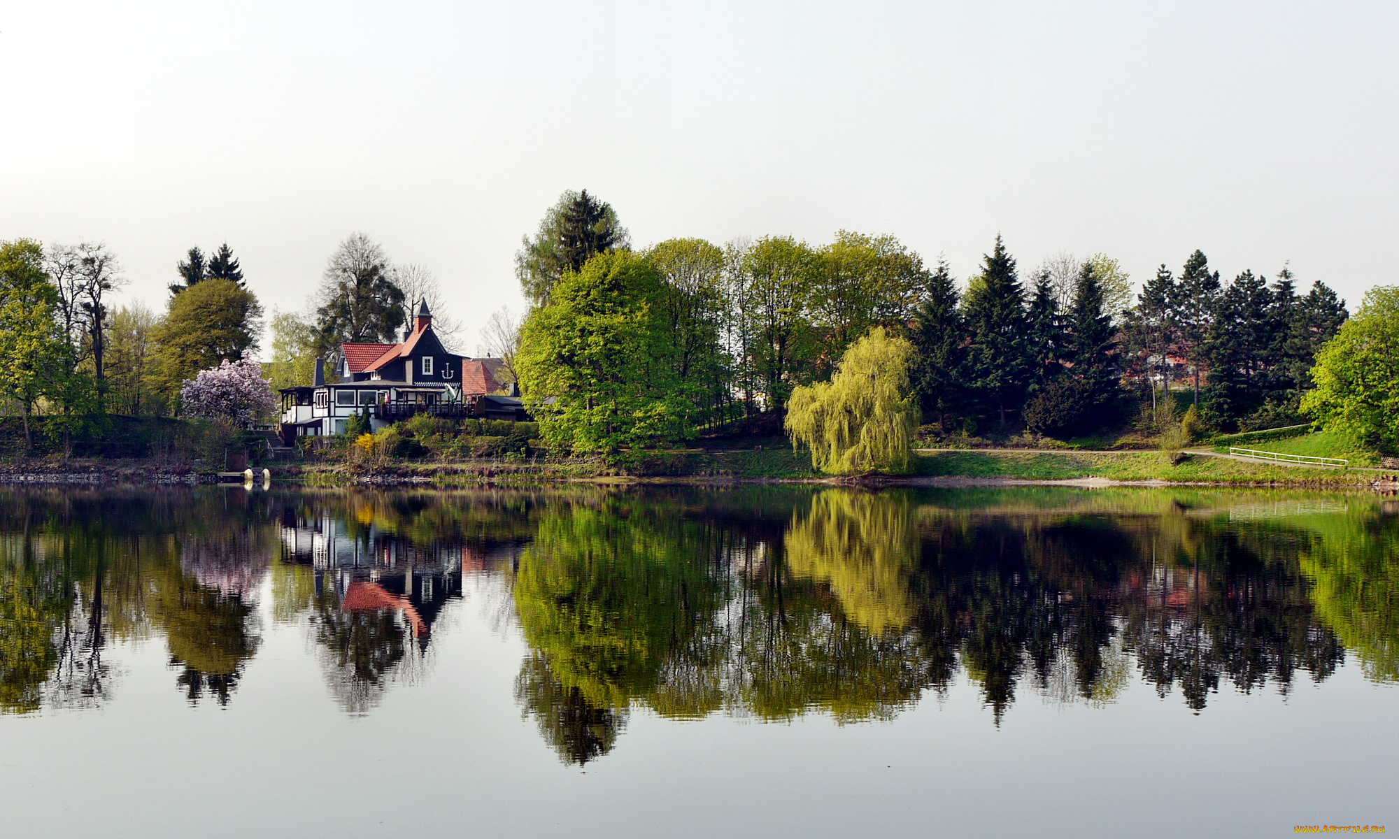 германия, херцберг, города, пейзажи, дома, река, деревья, берег, ивы