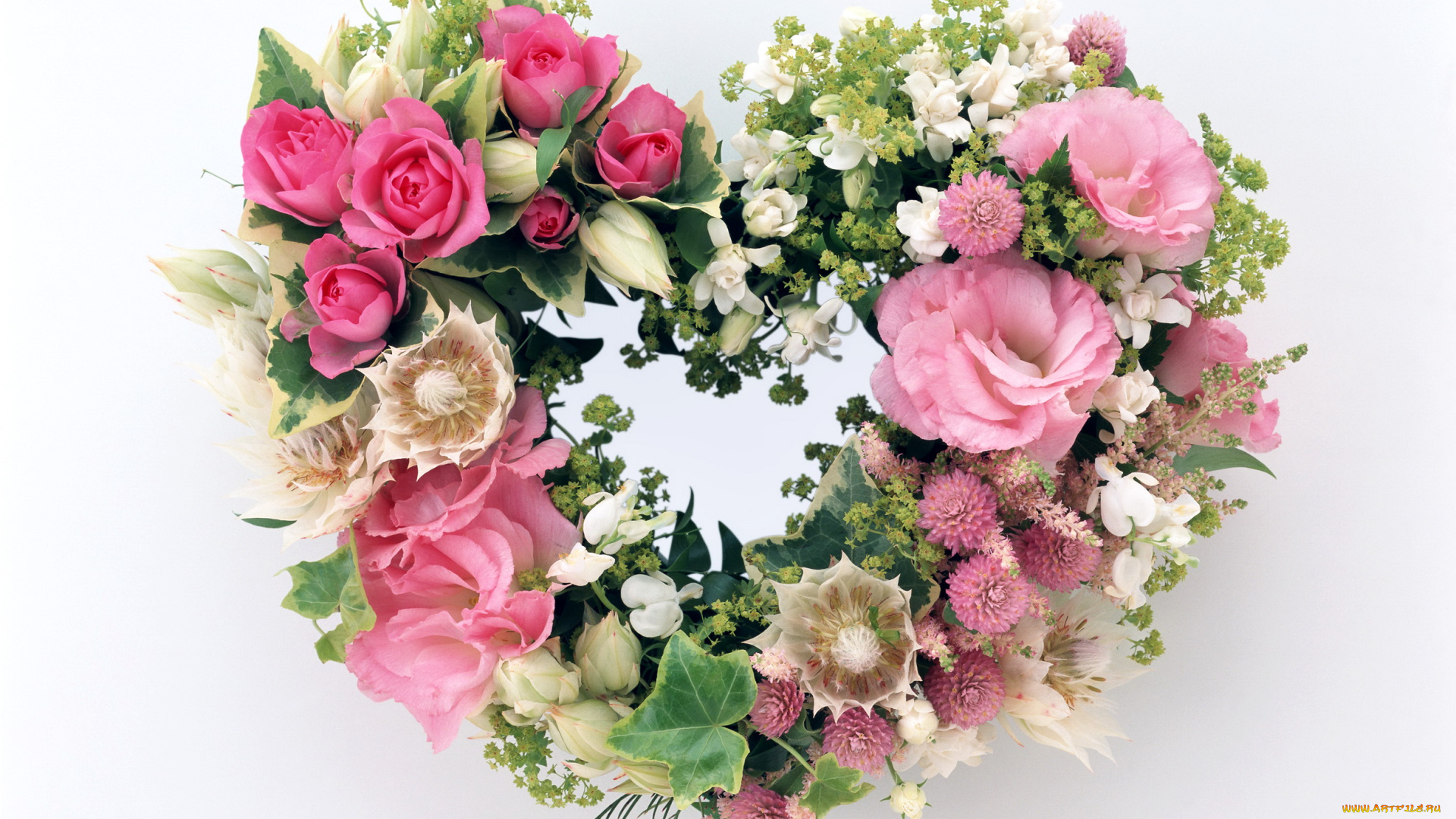 цветы, букеты, композиции, розы, букет