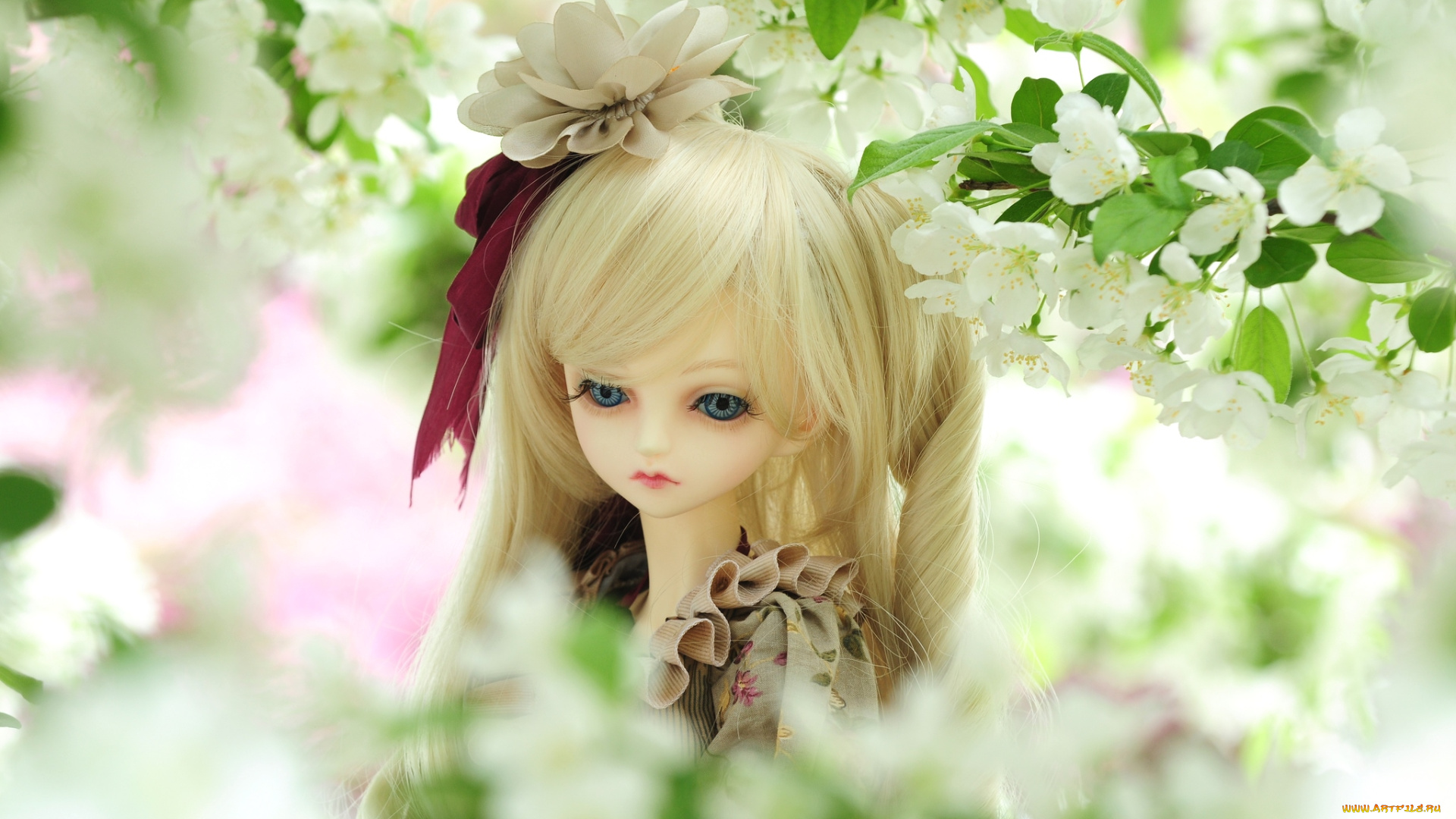 разное, игрушки, цветение, кукла