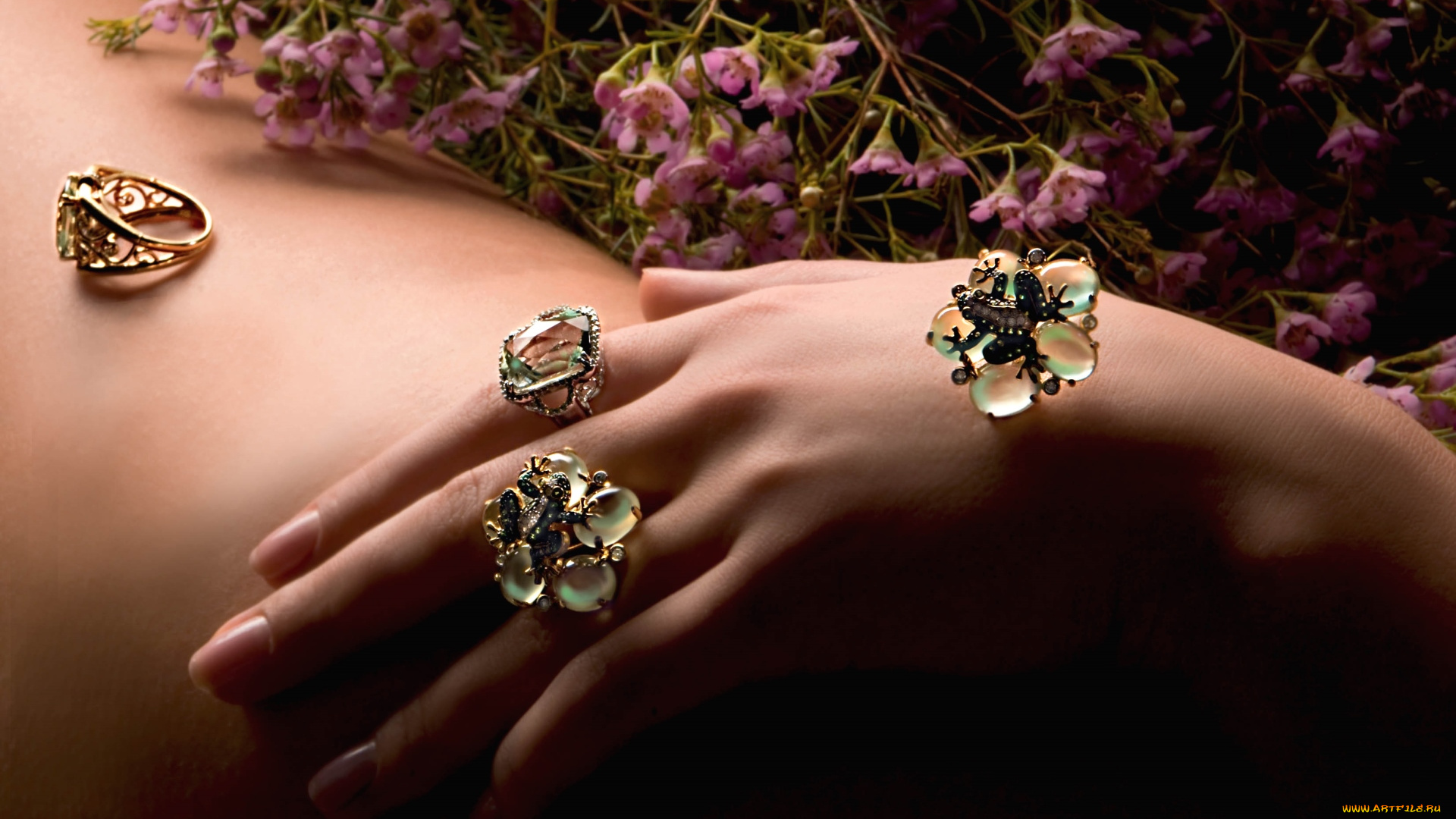разное, украшения, аксессуары, веера, кольца, рука