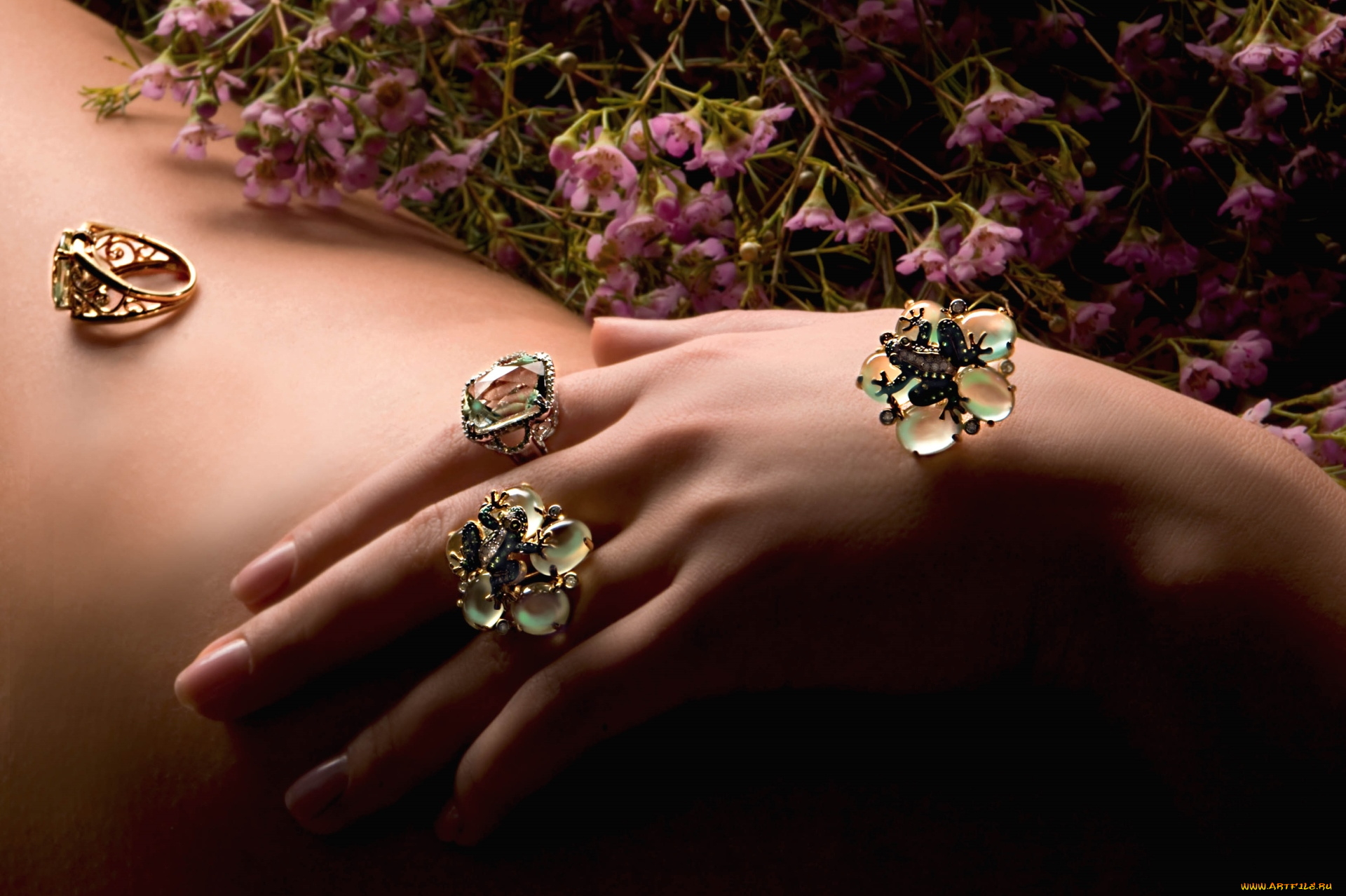 разное, украшения, аксессуары, веера, кольца, рука