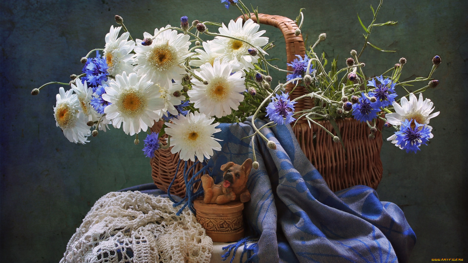 цветы, луговые, , полевые, , цветы, ромашки, васильки