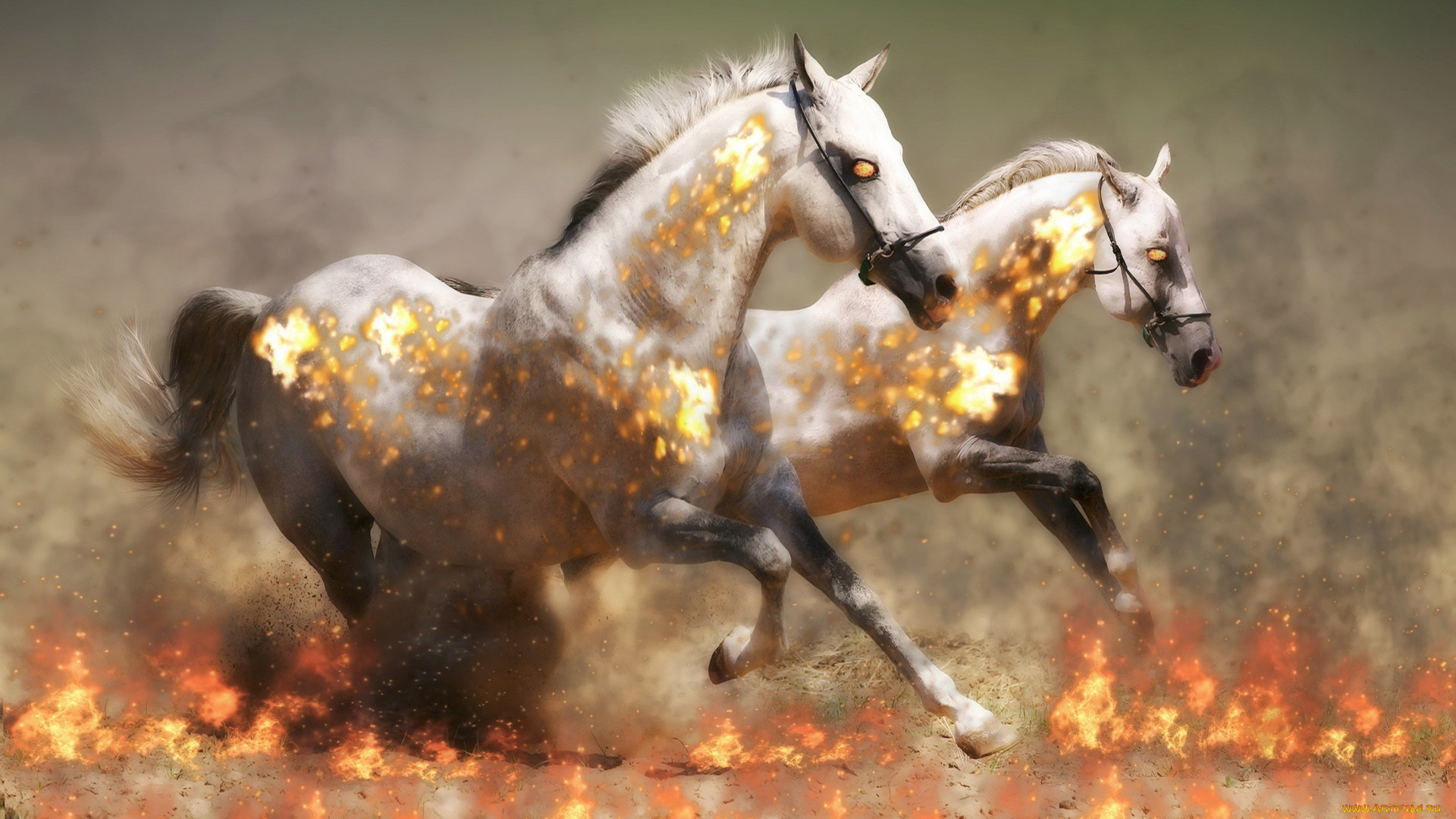 разное, компьютерный, дизайн, огонь, пыль, лошади