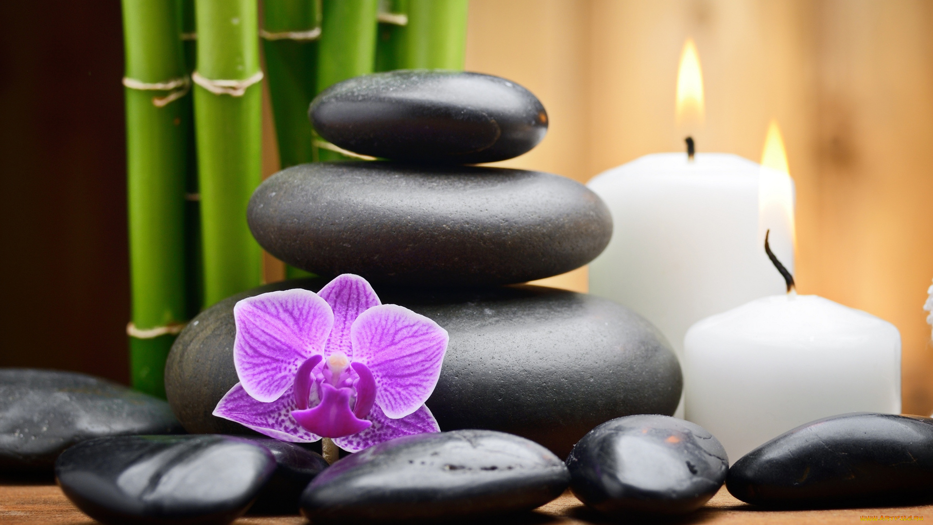 разное, ракушки, , кораллы, , декоративные, и, spa-камни, бамбук, свечи, орхидея, спа, камни