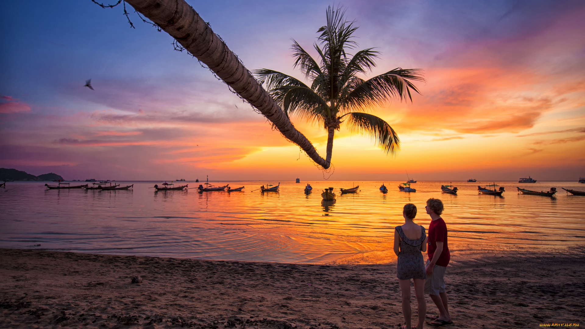 tao, , thailand, разное, мужчина, женщина, thailand, пляж, пальма, закат, лодки, сиамский, залив, таиланд, тао