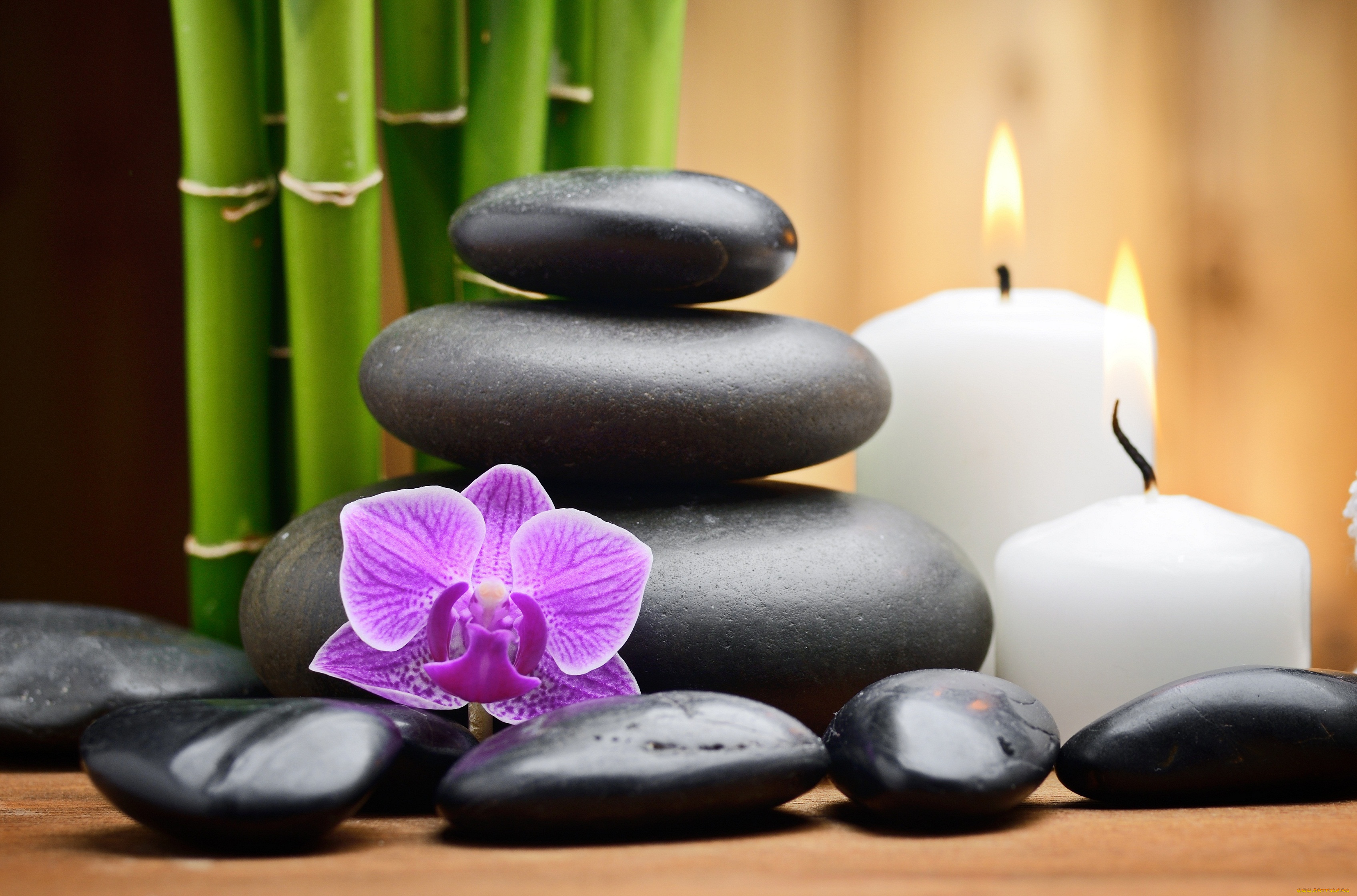 разное, ракушки, , кораллы, , декоративные, и, spa-камни, бамбук, свечи, орхидея, спа, камни