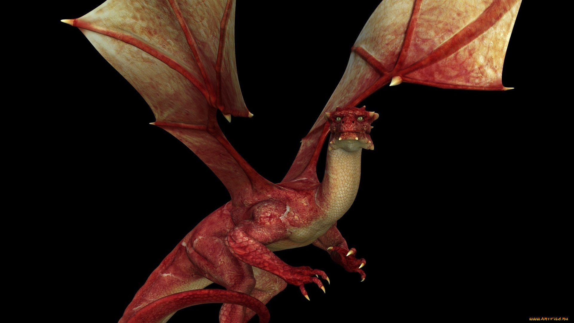 3д, графика, существа, , creatures, фон, дракон