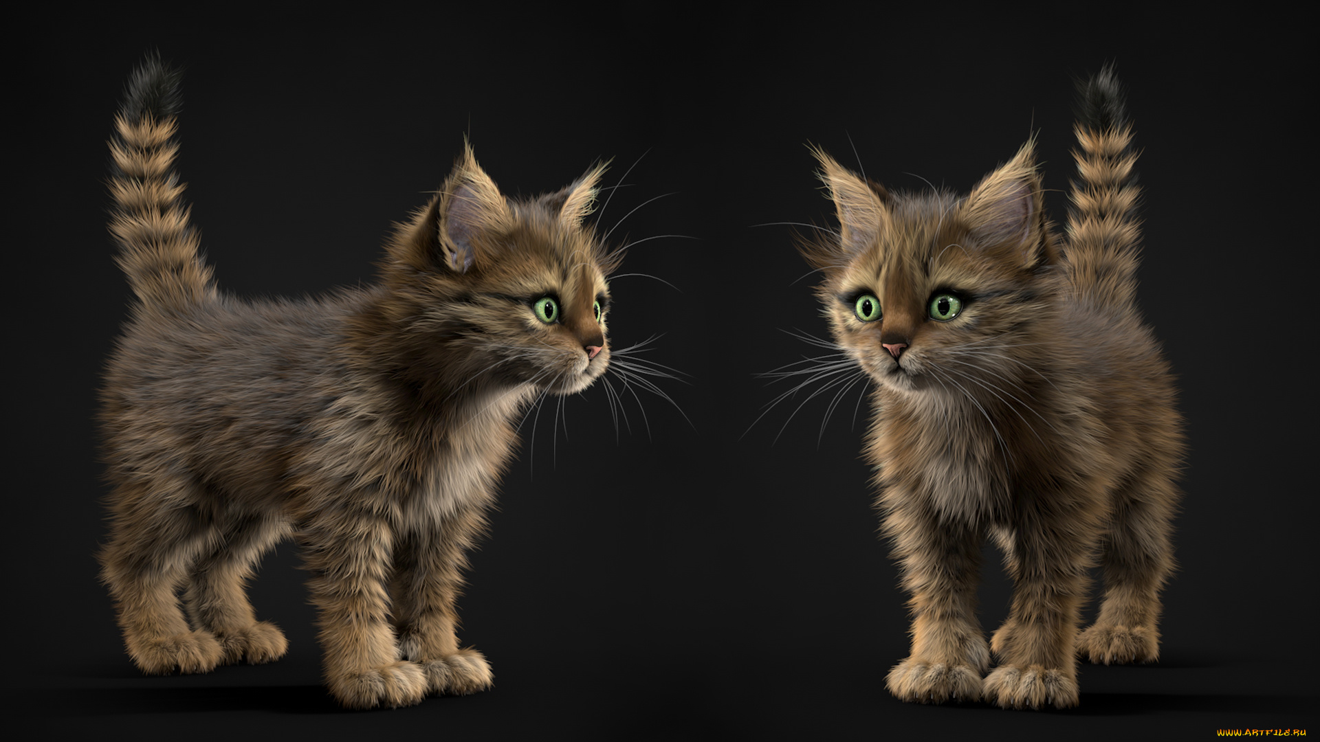 3д, графика, животные, , animals, фон, взгляд, кошки