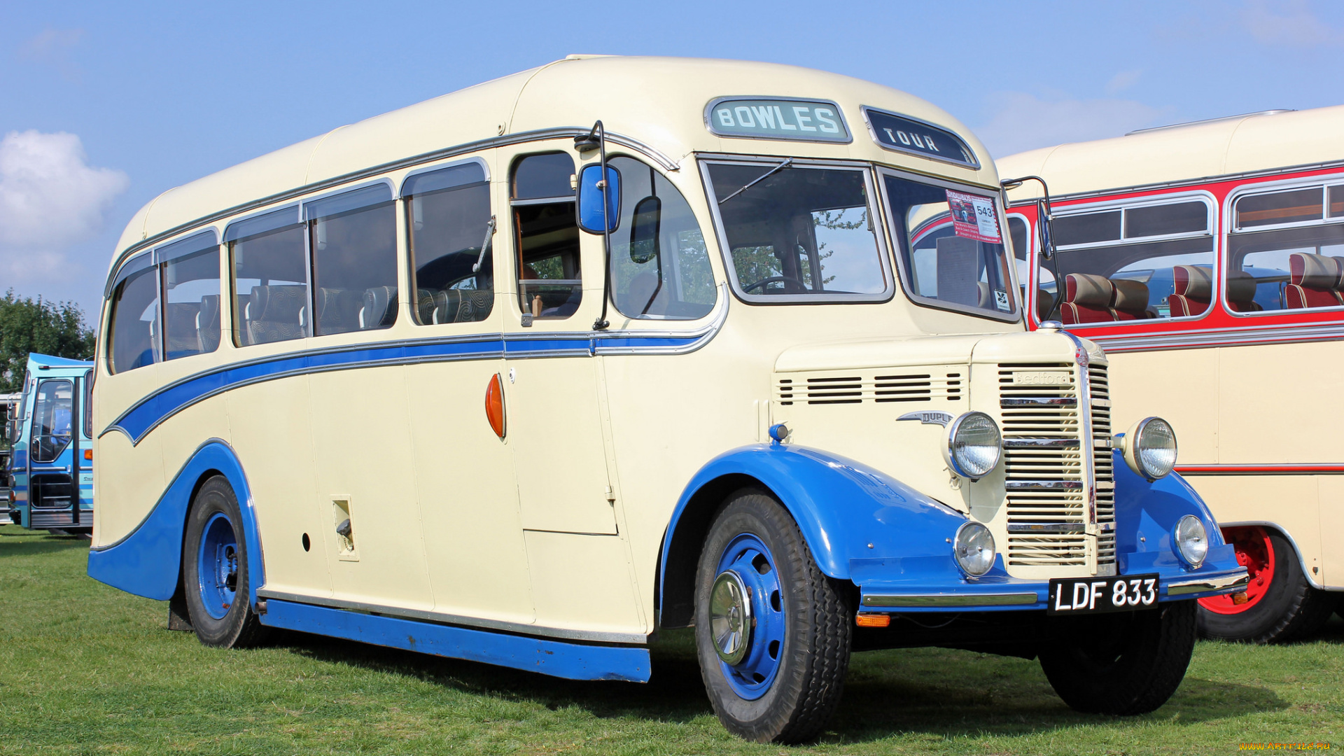 автомобили, автобусы, транспорт, пассажирский