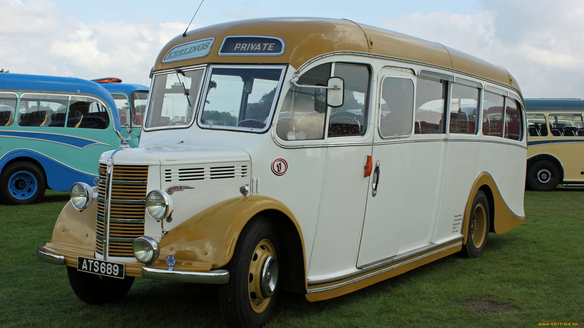 автомобили, автобусы, транспорт, пассажирский