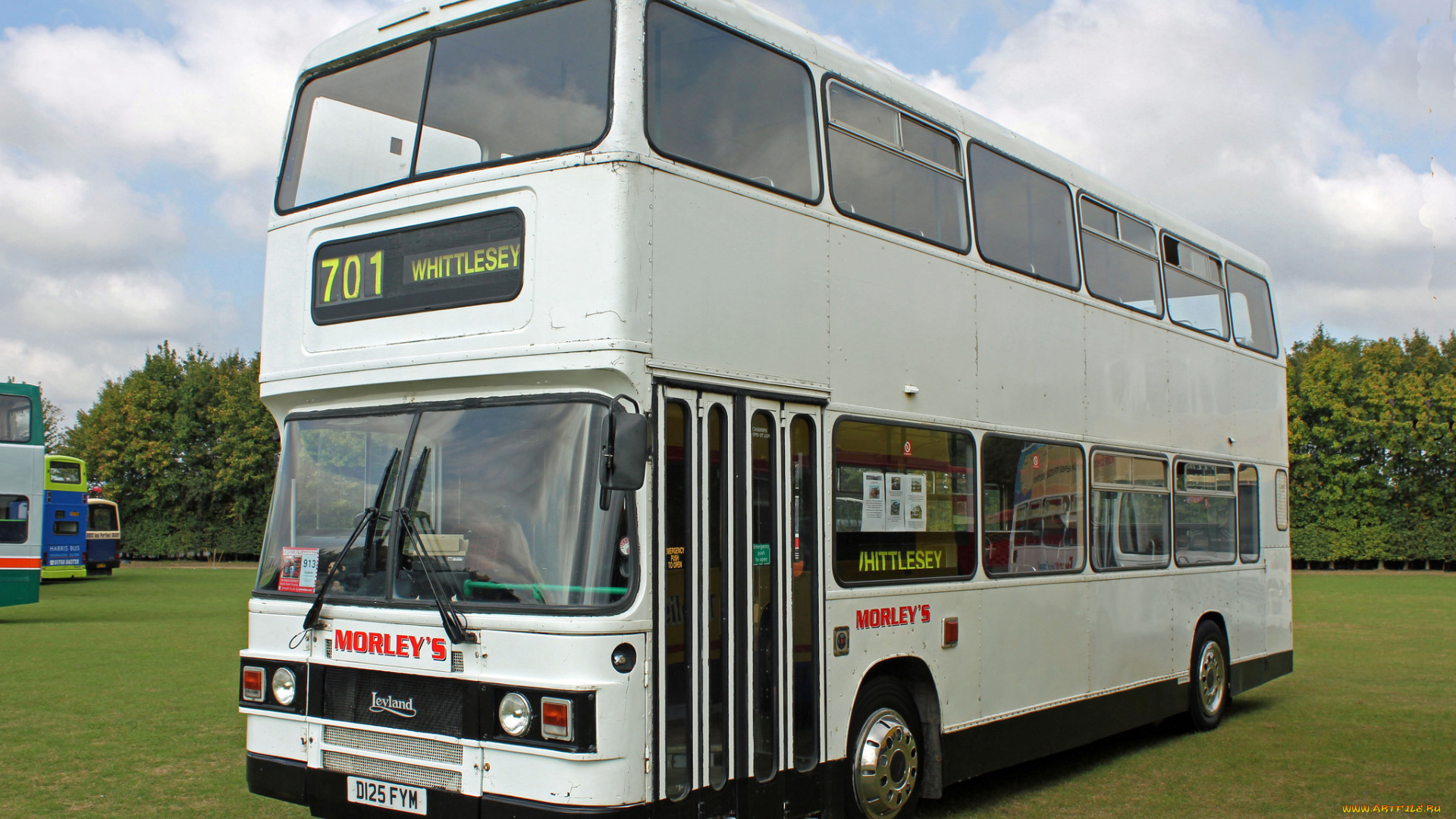 автомобили, автобусы, транспорт, пассажирский