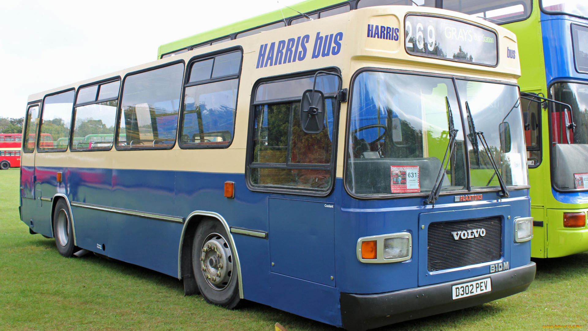 автомобили, автобусы, транспорт, пассажирский