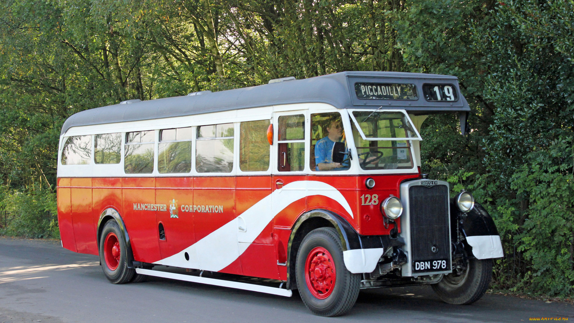 автомобили, автобусы, транспорт, пассажирский