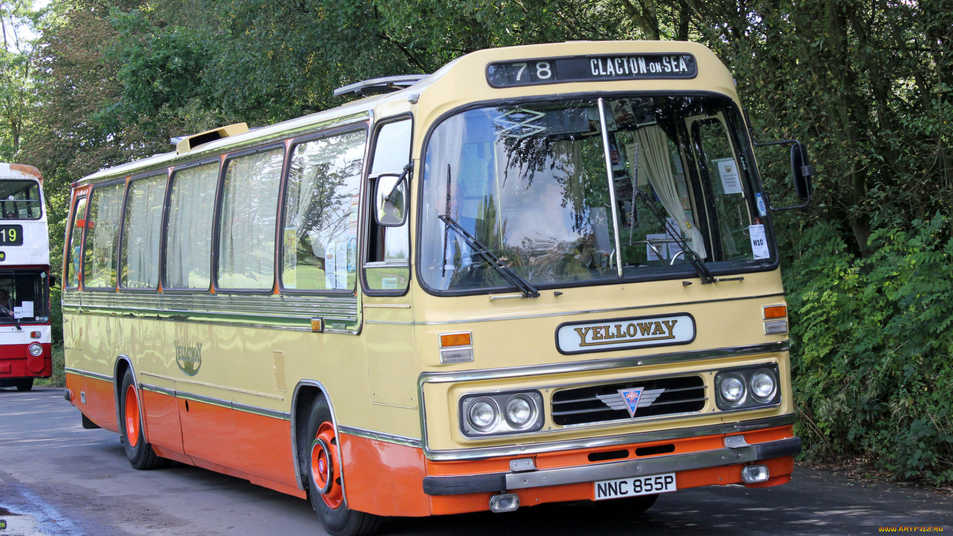 автомобили, автобусы, транспорт, пассажирский