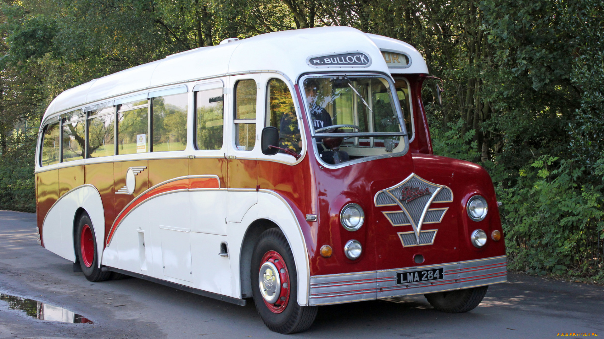 автомобили, автобусы, транспорт, пассажирский