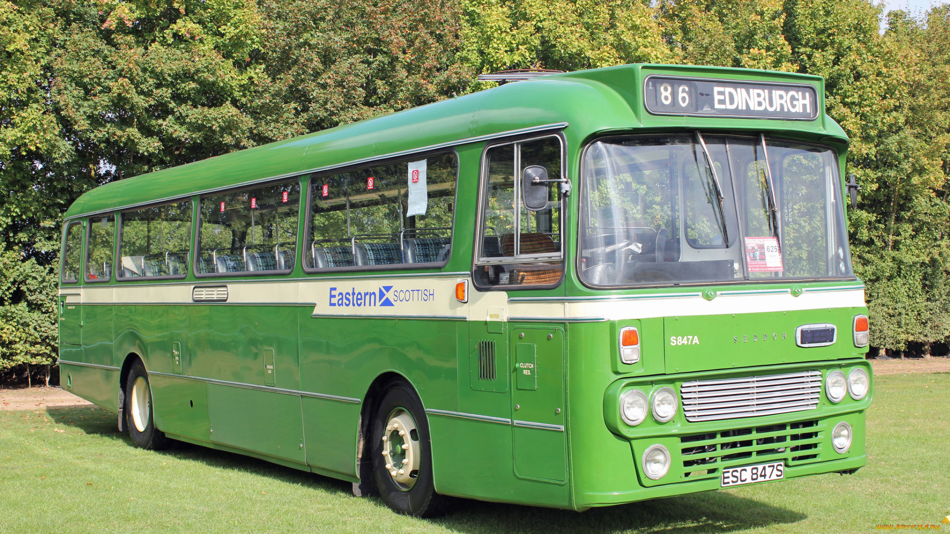 автомобили, автобусы, транспорт, пассажирский