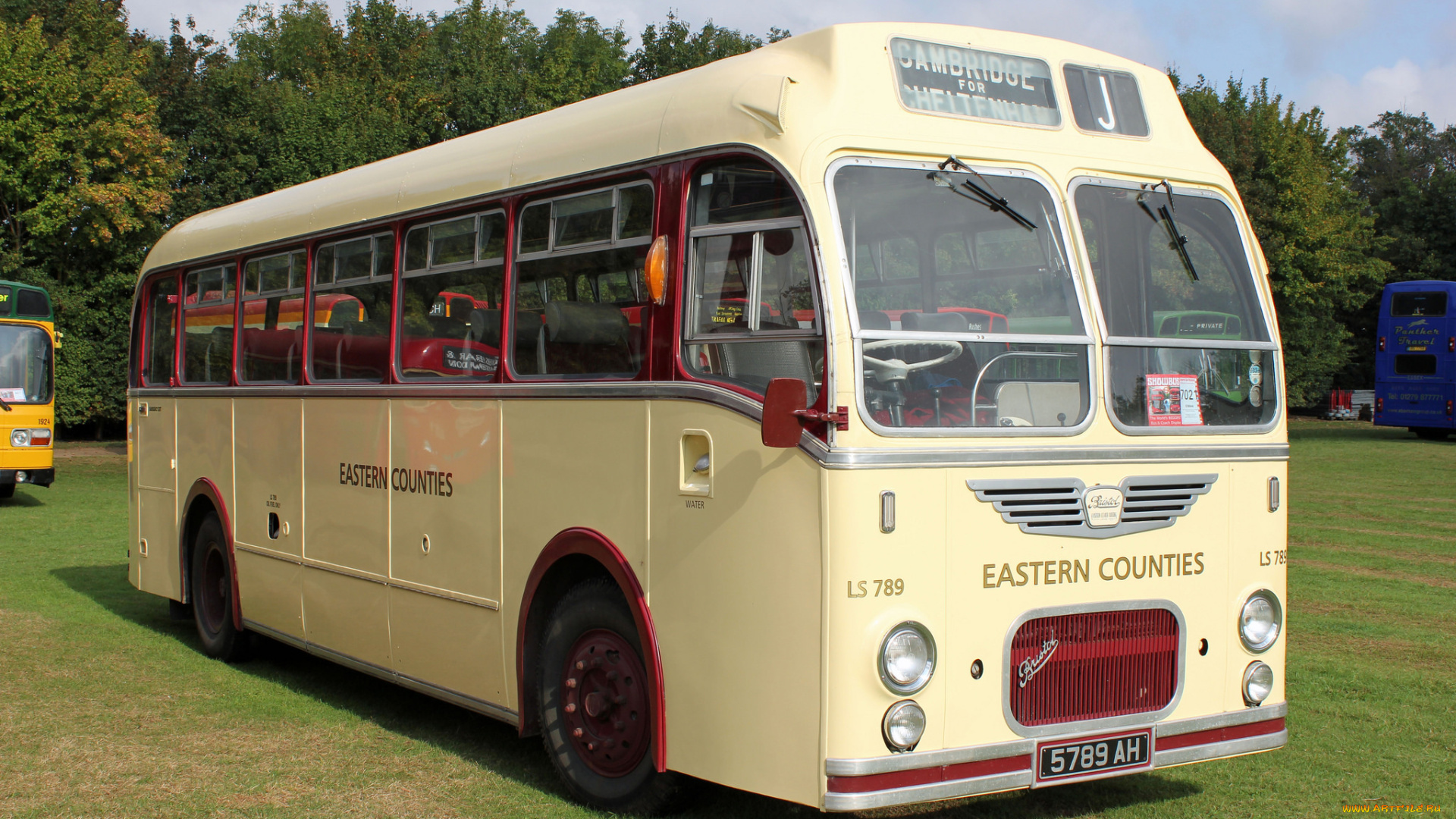 автомобили, автобусы, транспорт, пассажирский