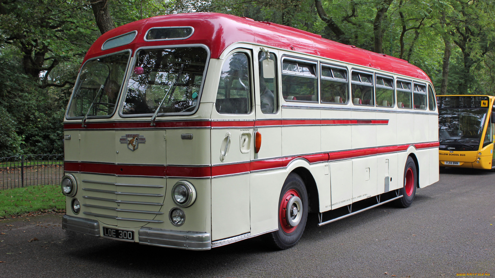 автомобили, автобусы, транспорт, пассажирский