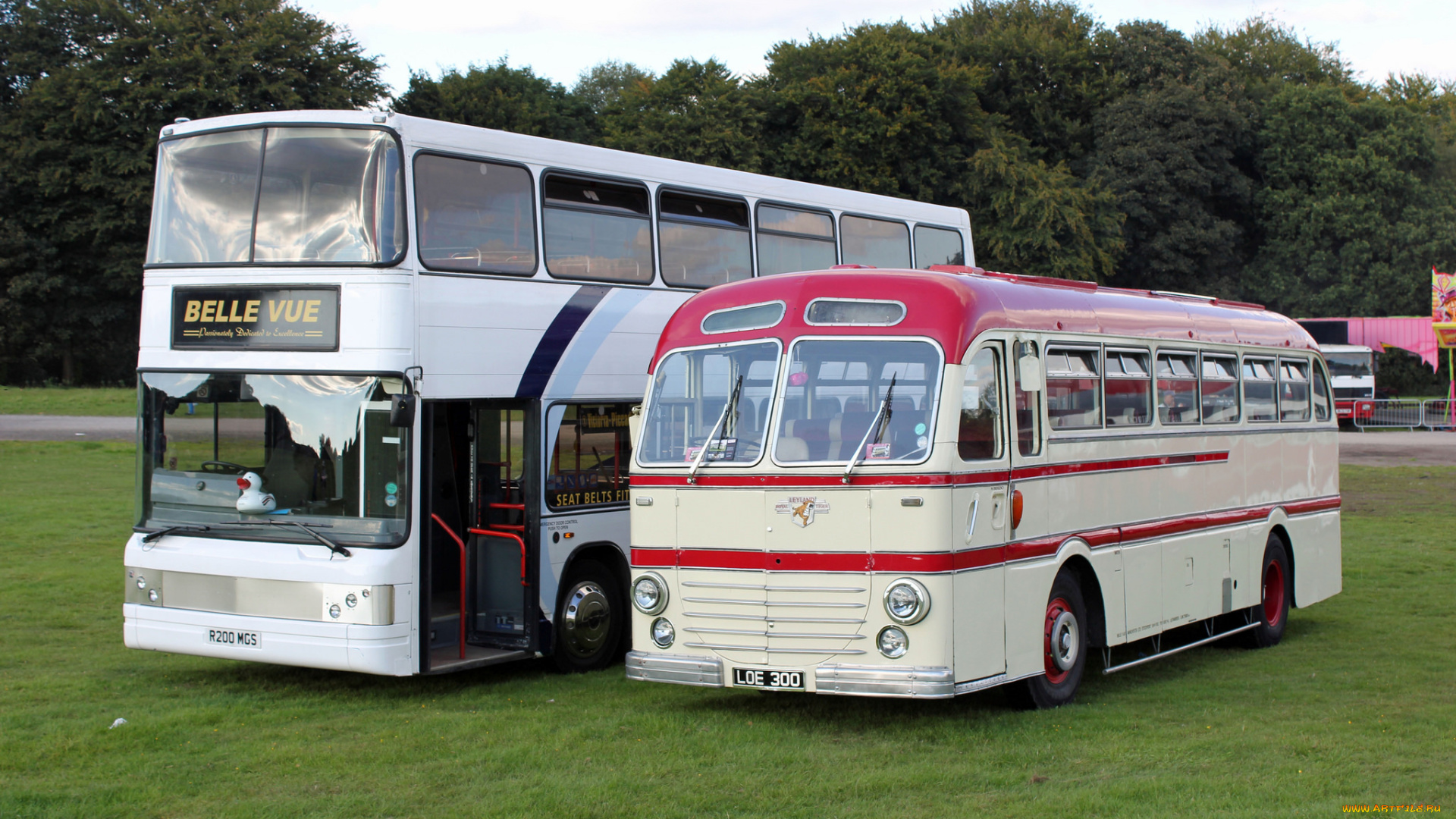 автомобили, автобусы, транспорт, пассажирский