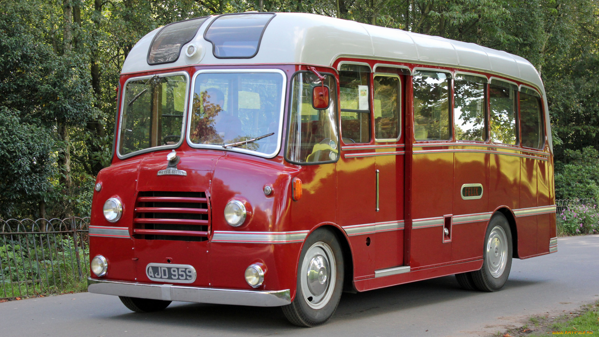 автомобили, автобусы, транспорт, пассажирский