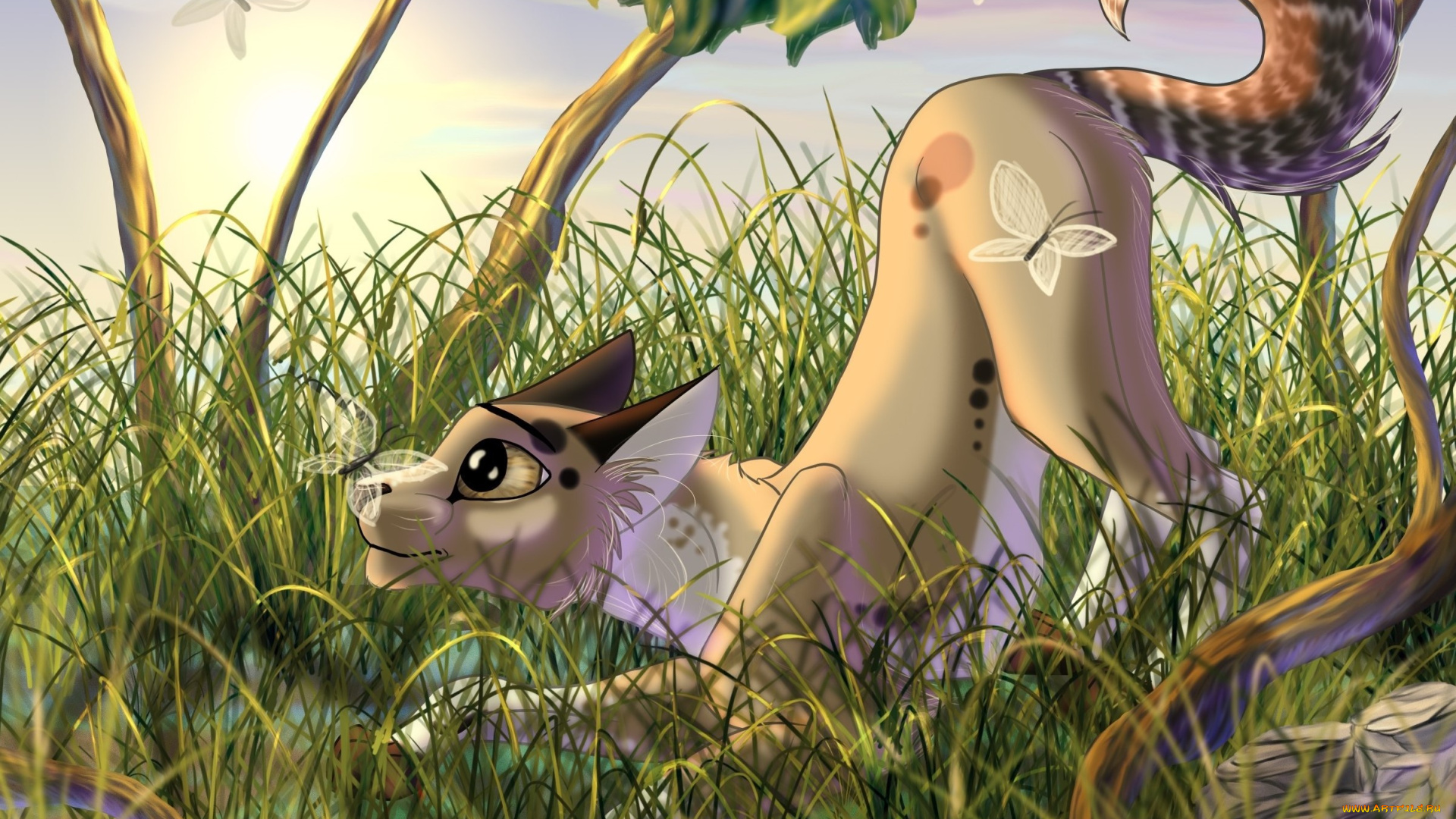 рисованное, животные, , коты, кот, взгляд, фон, трава, бабочки