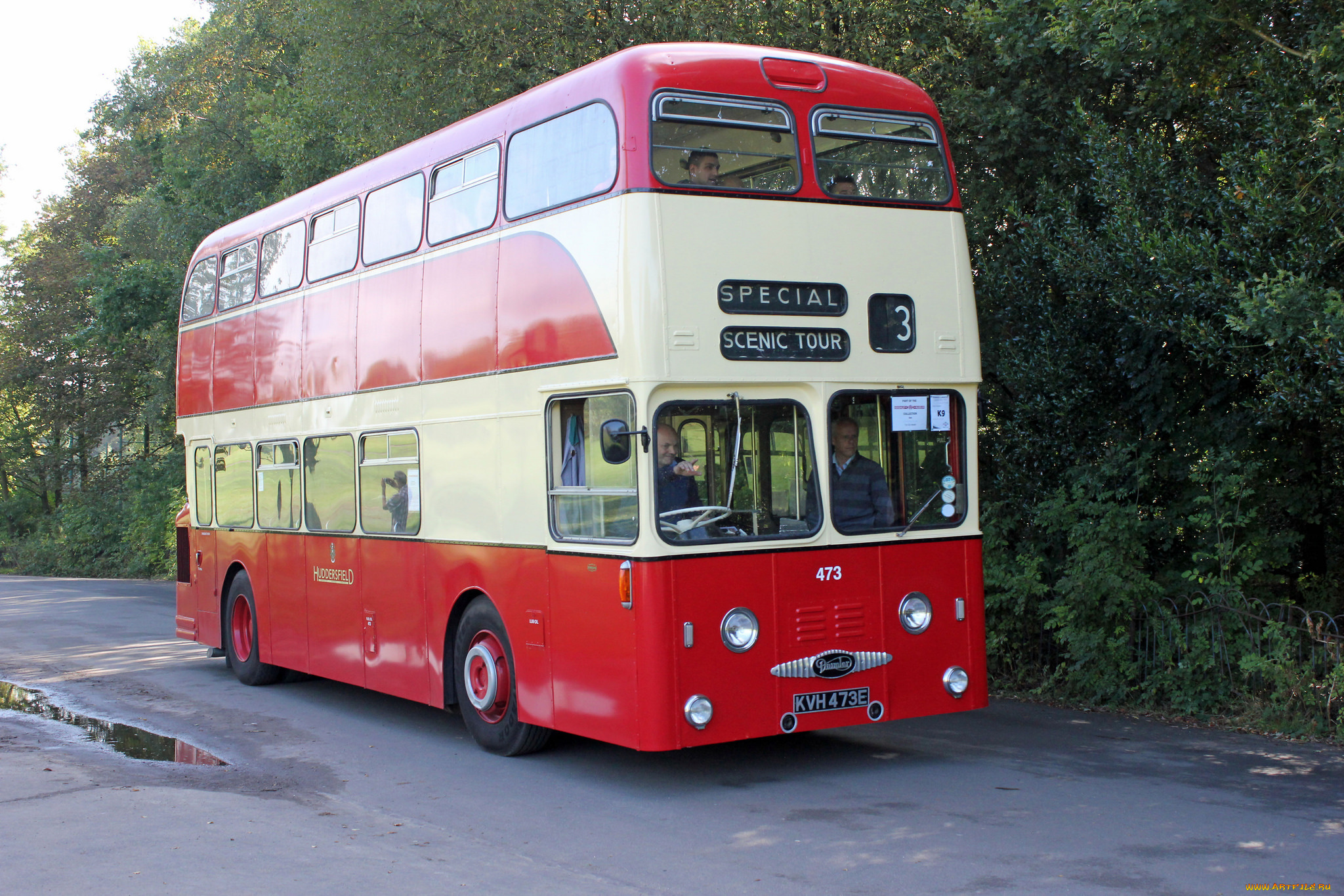 автомобили, автобусы, пассажирский, транспорт