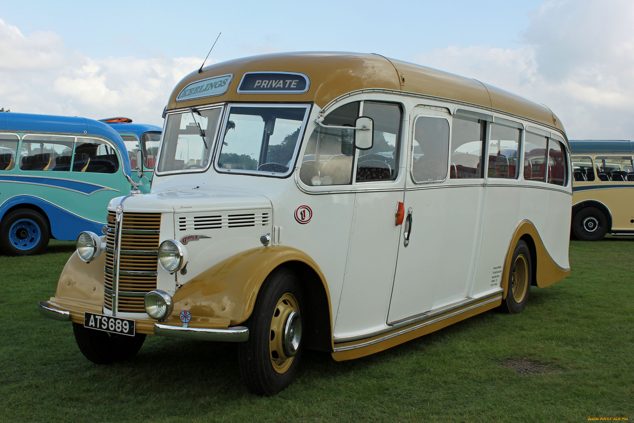 автомобили, автобусы, транспорт, пассажирский