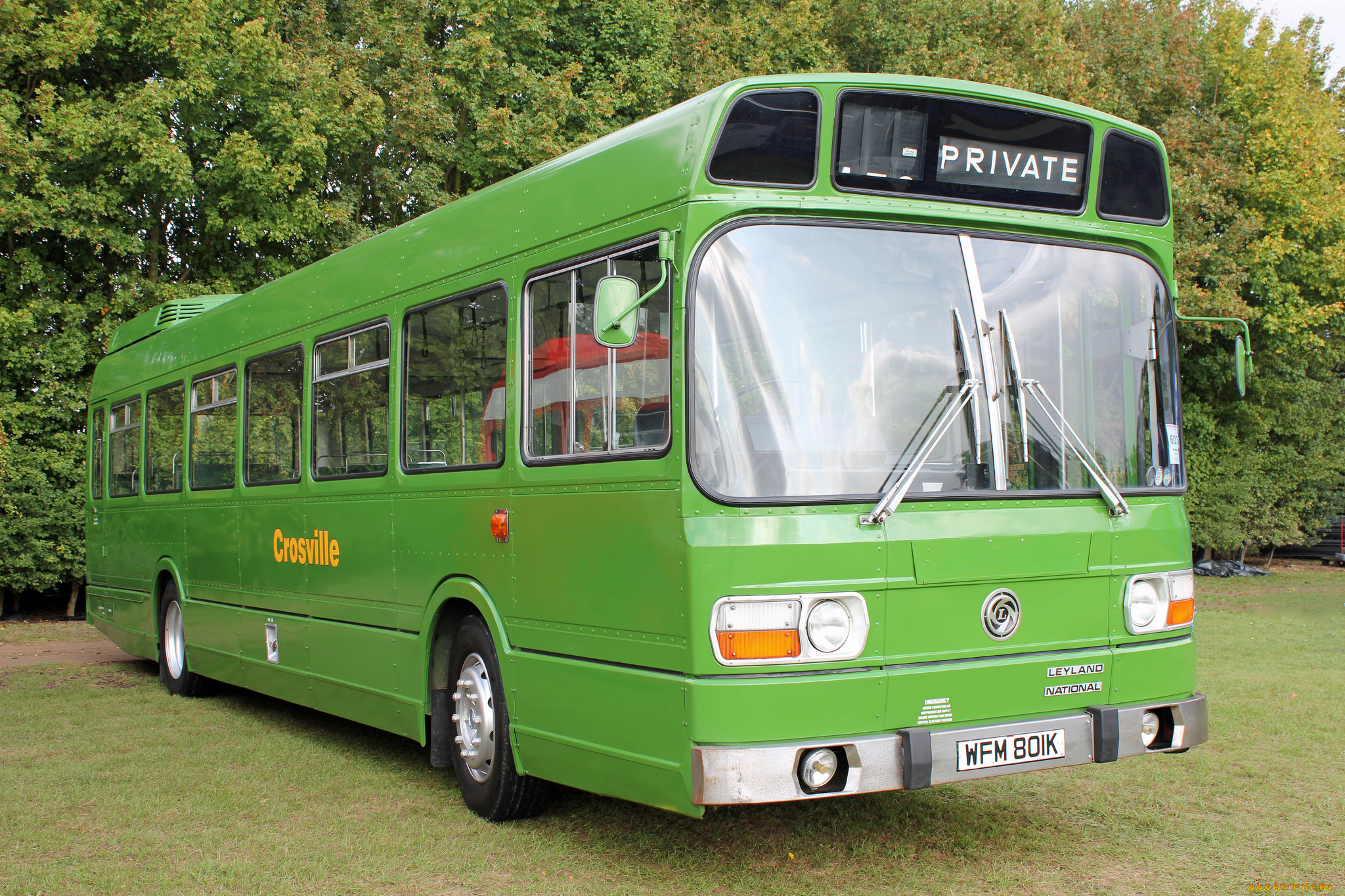 автомобили, автобусы, транспорт, пассажирский